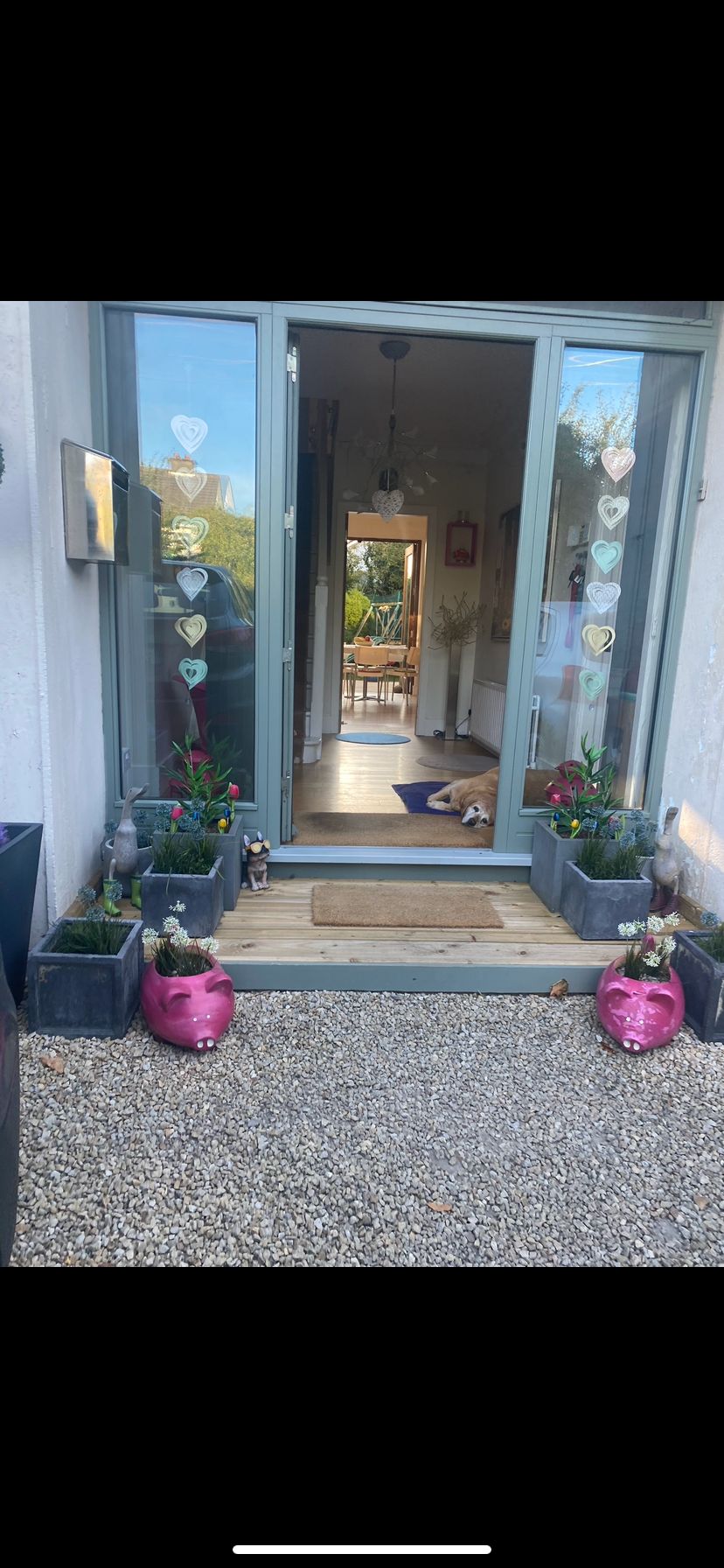 image-15