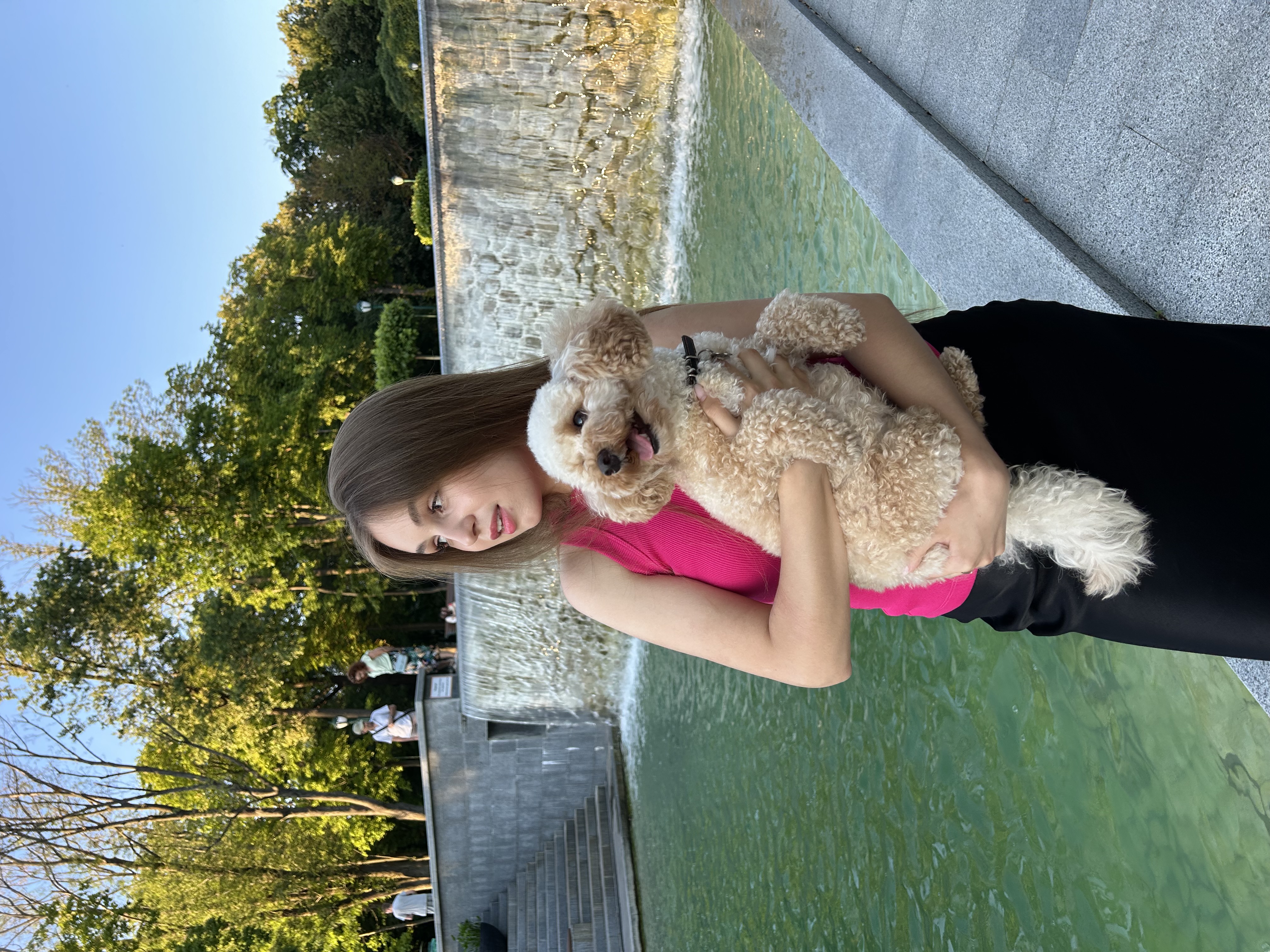 image-5