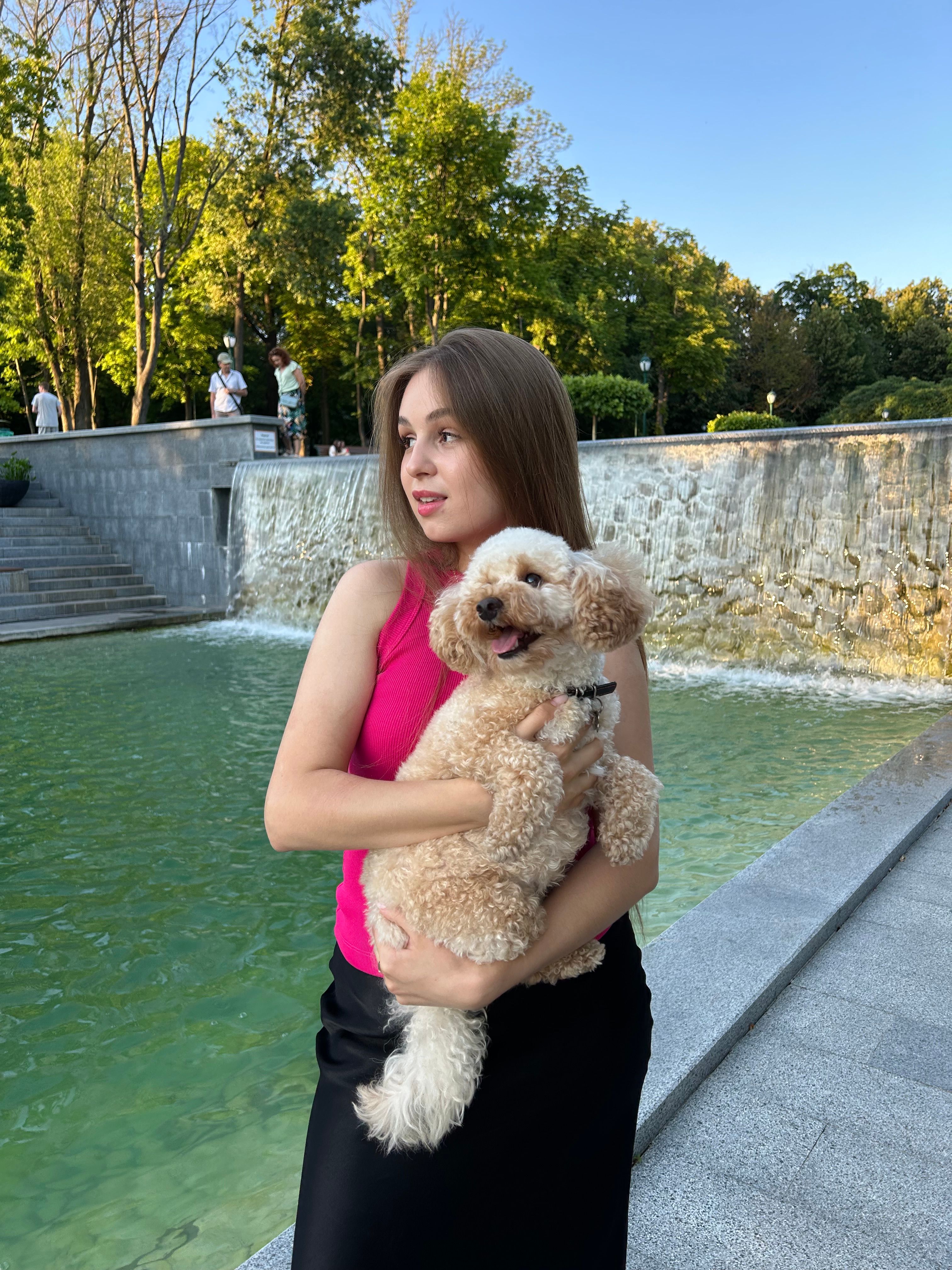 image-5