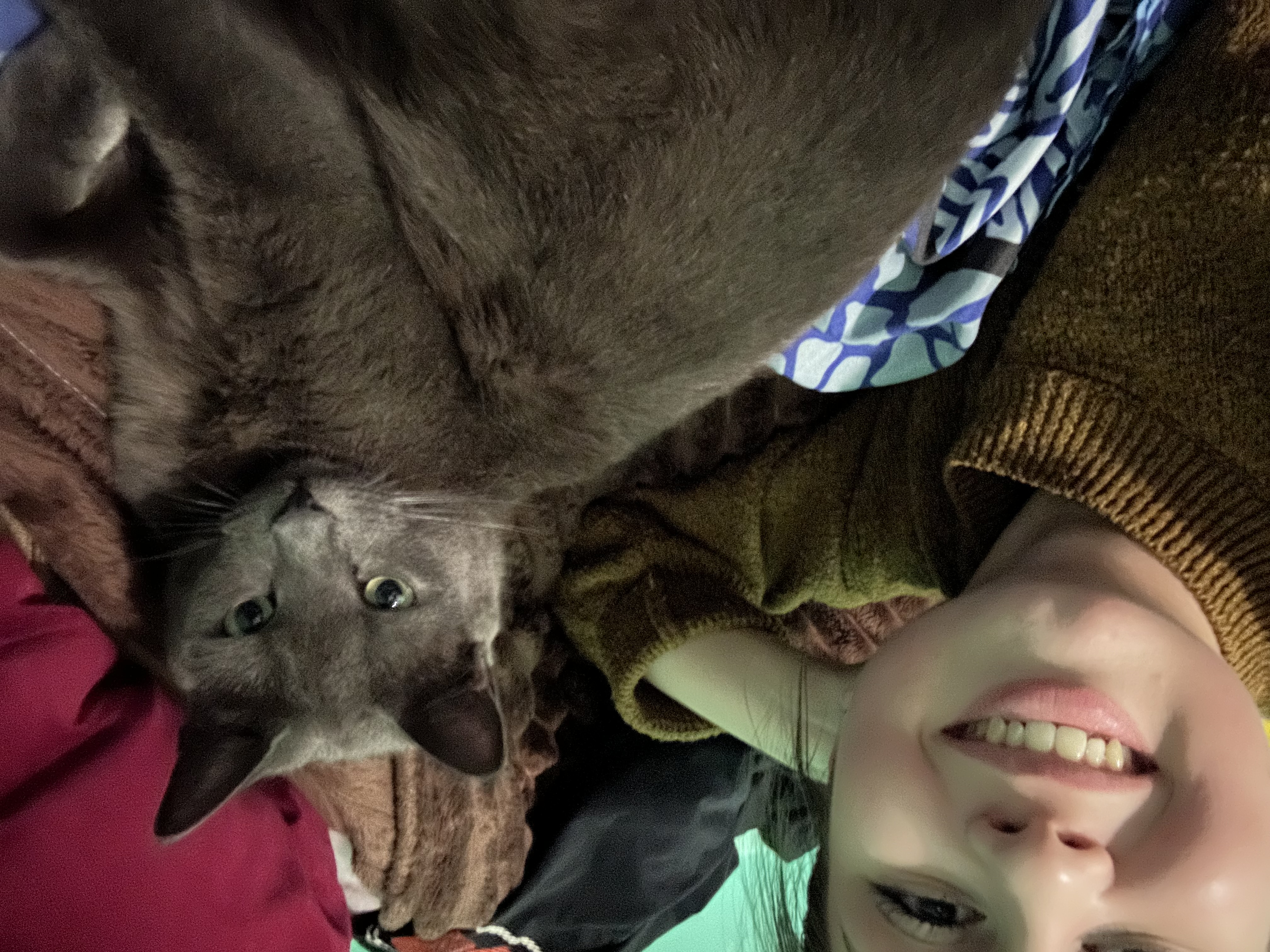 image-7