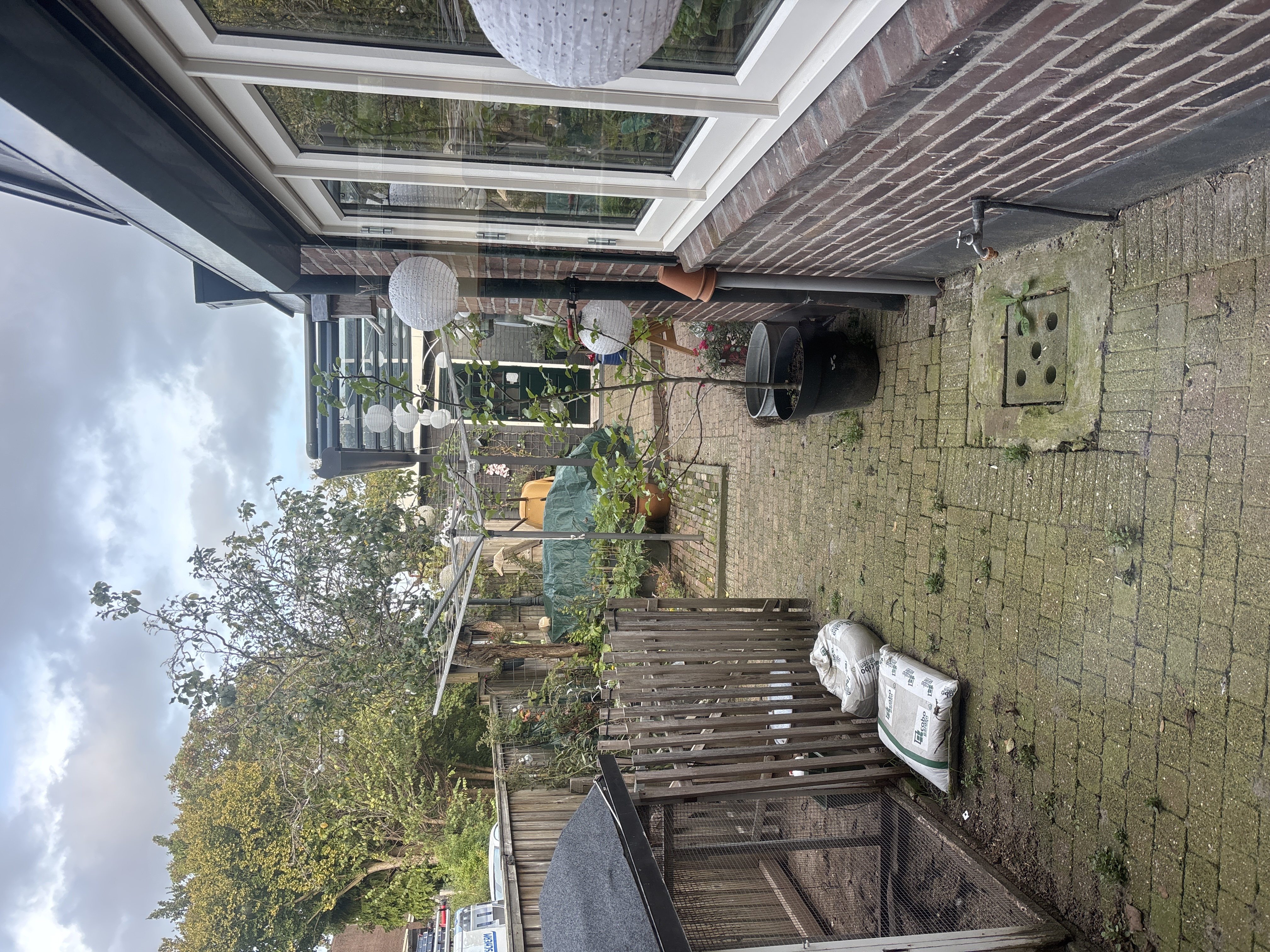 image-25