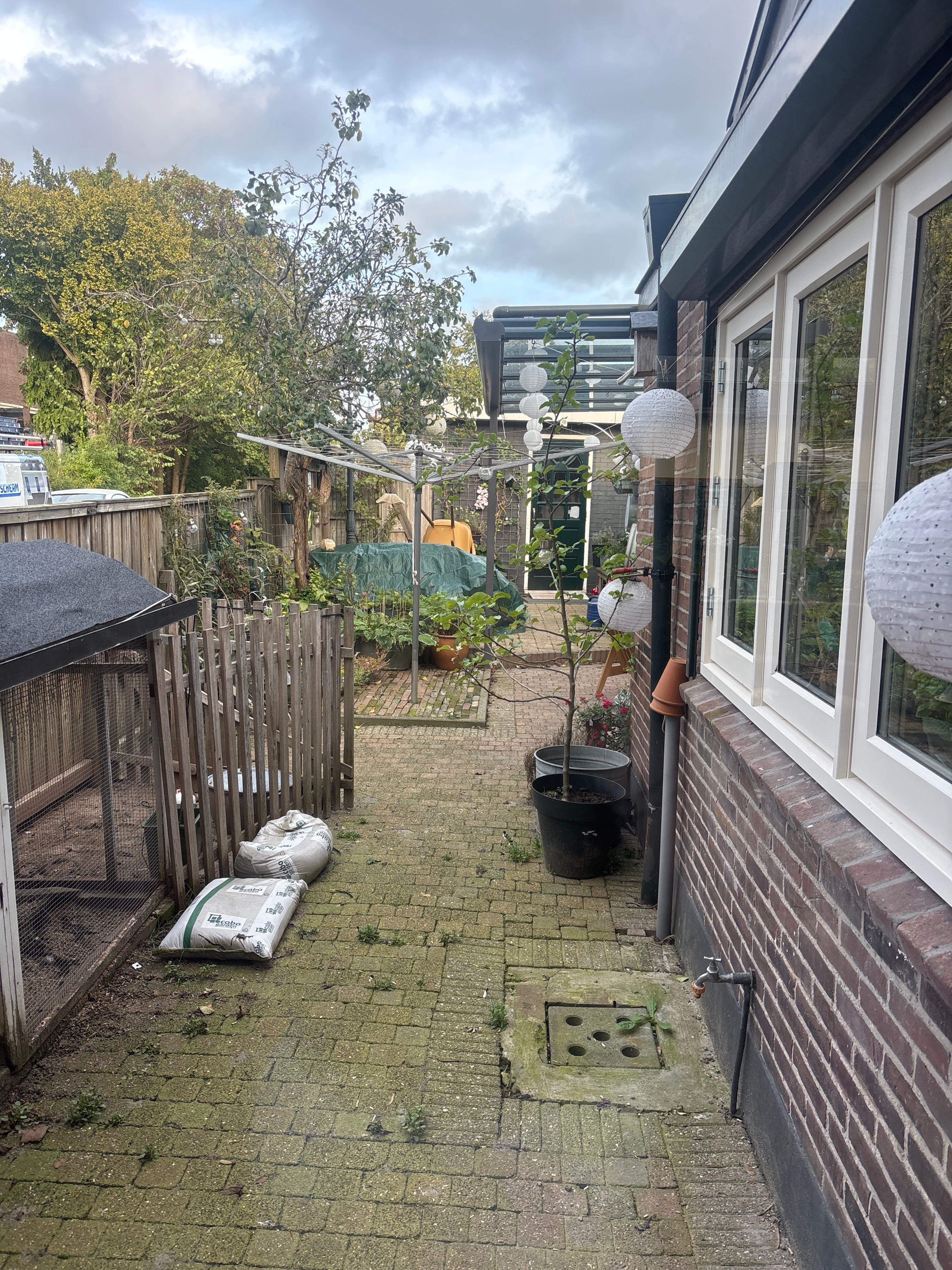image-25