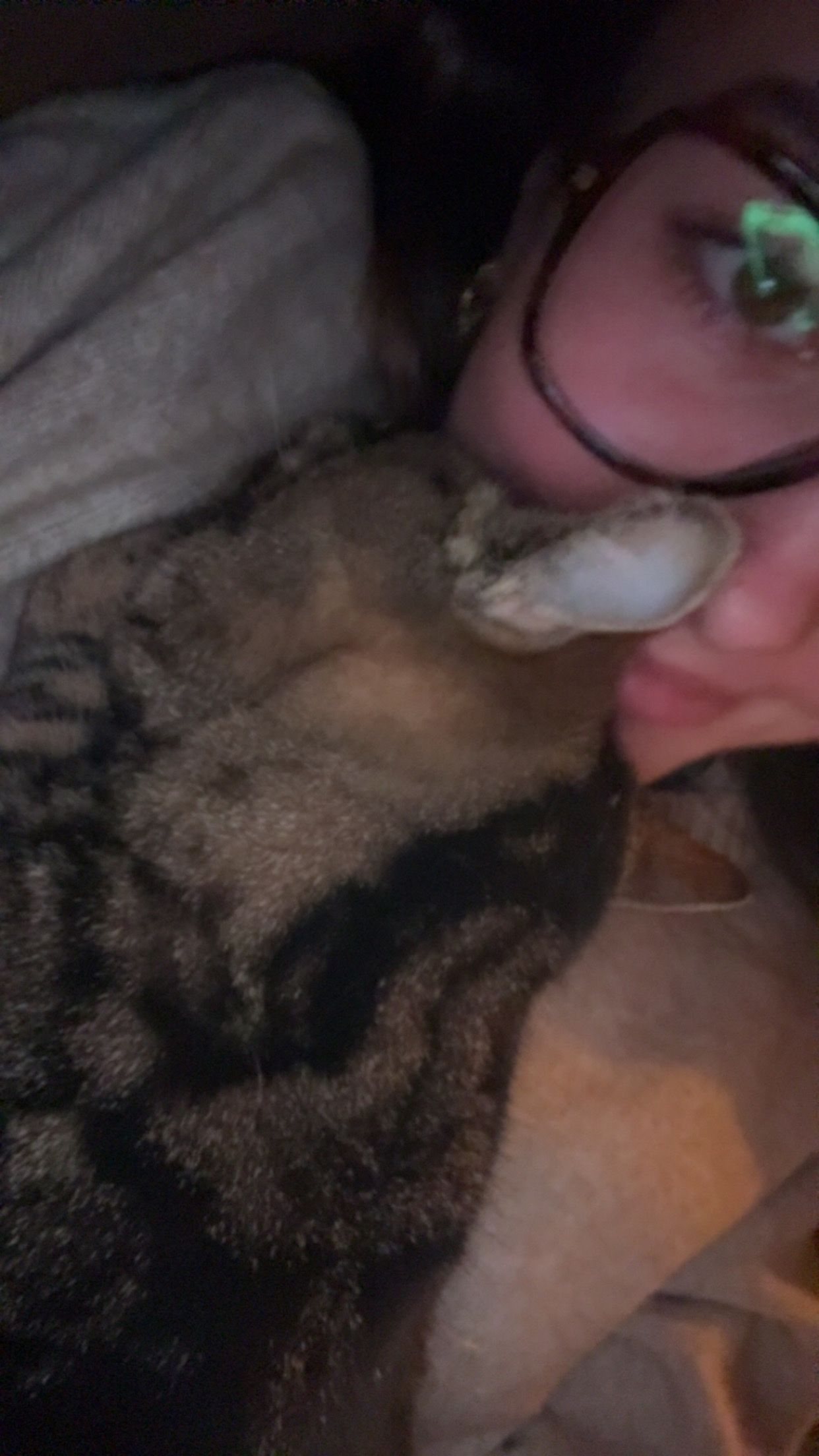 image-4