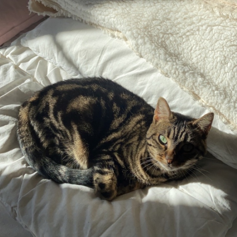 Nala 