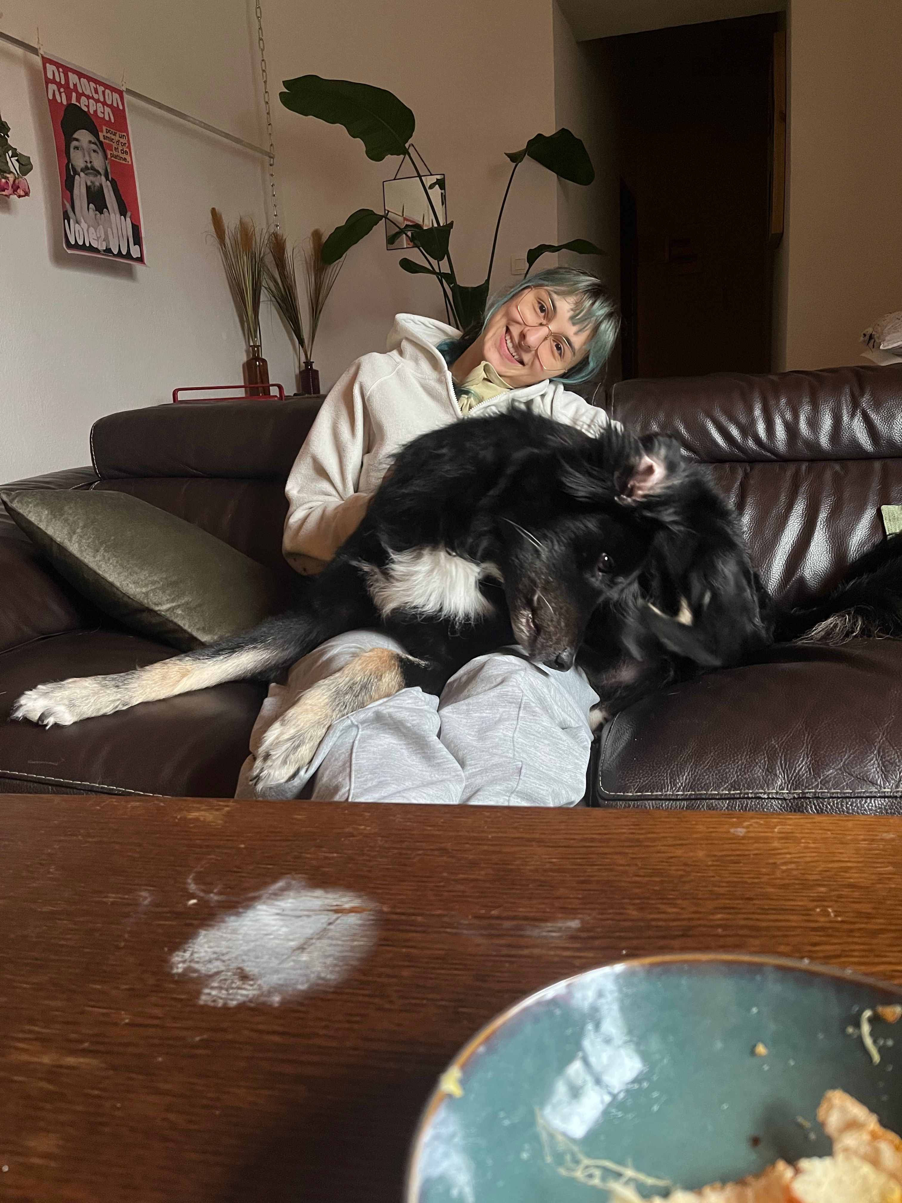image-6