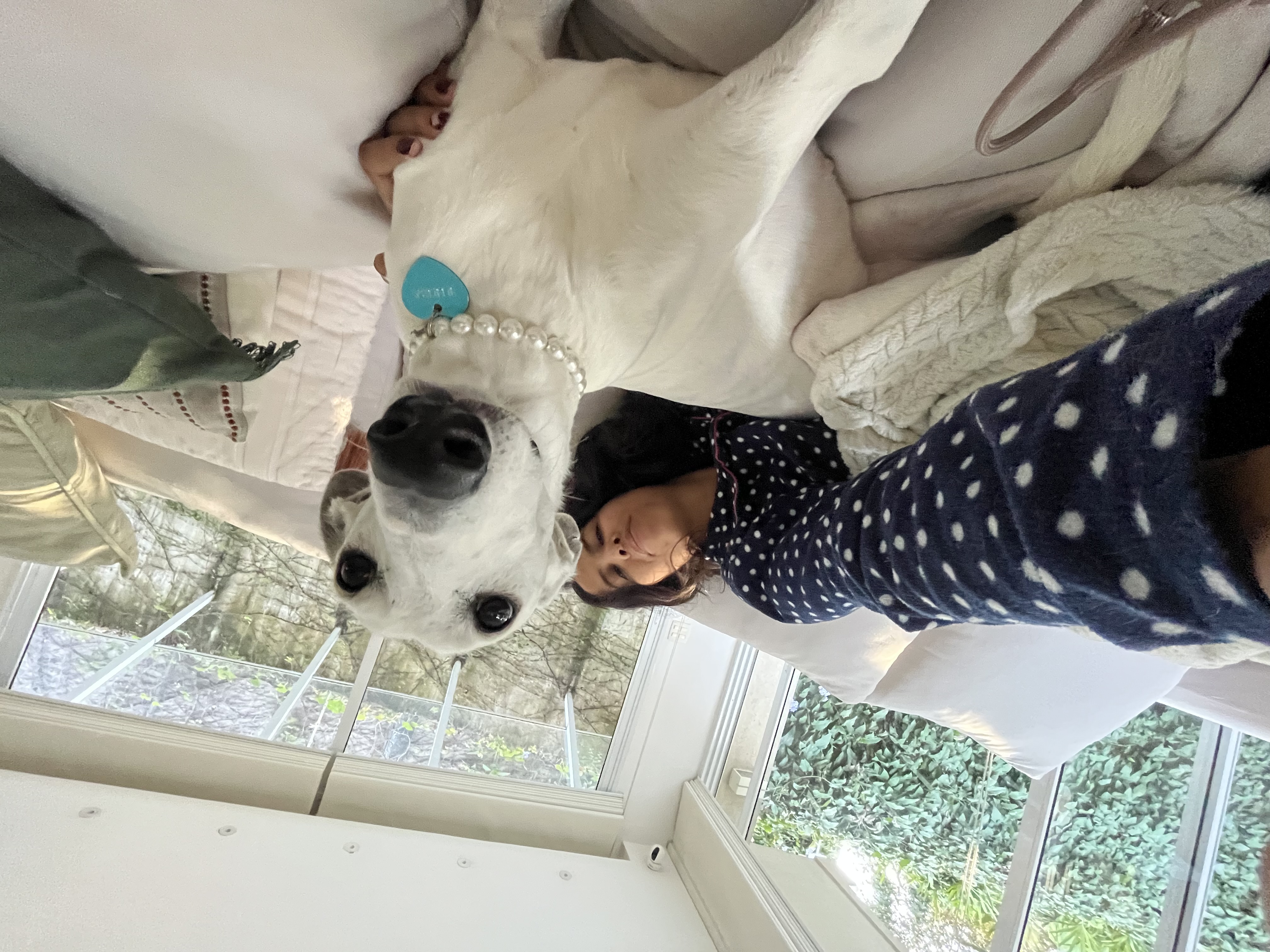 image-11