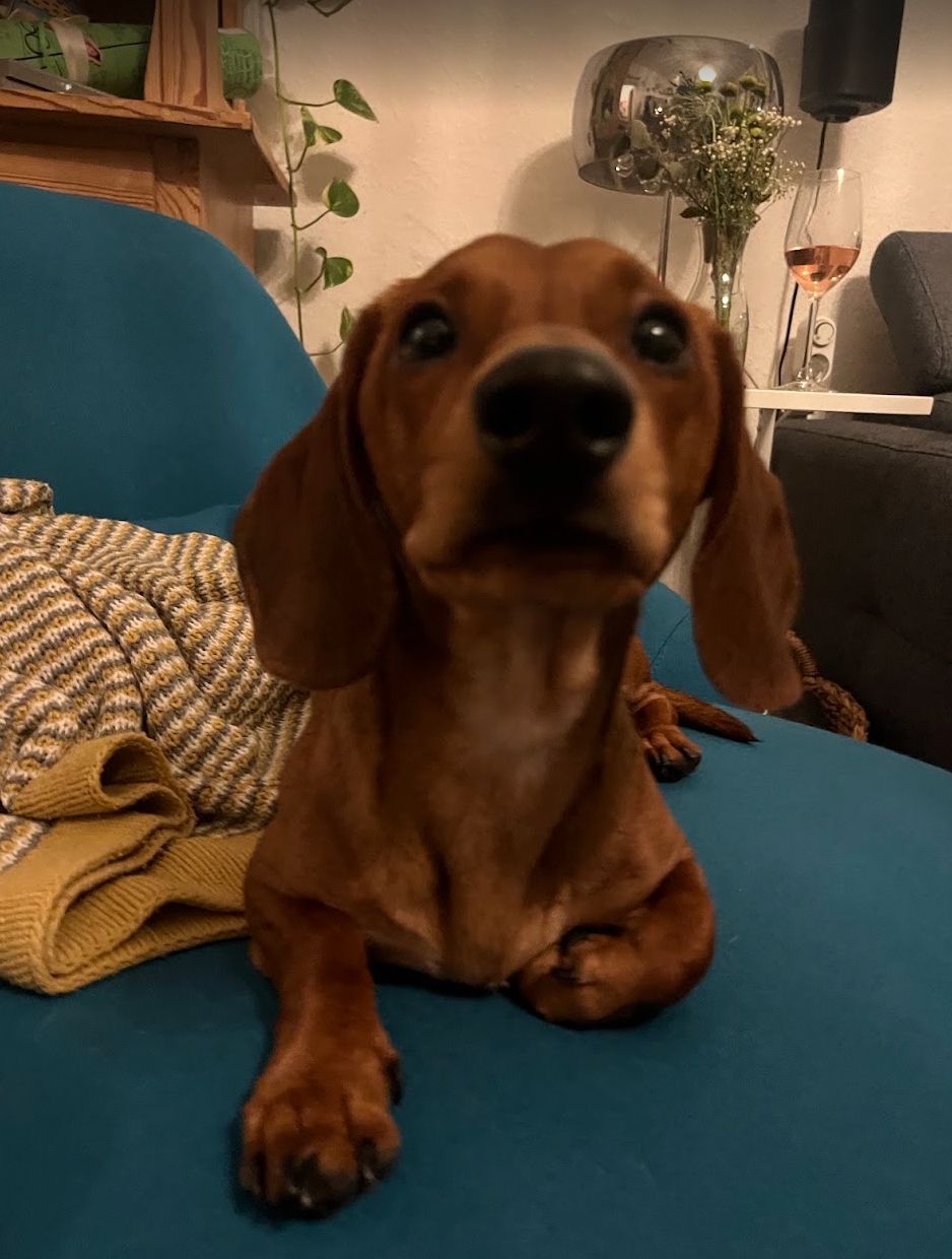image-14