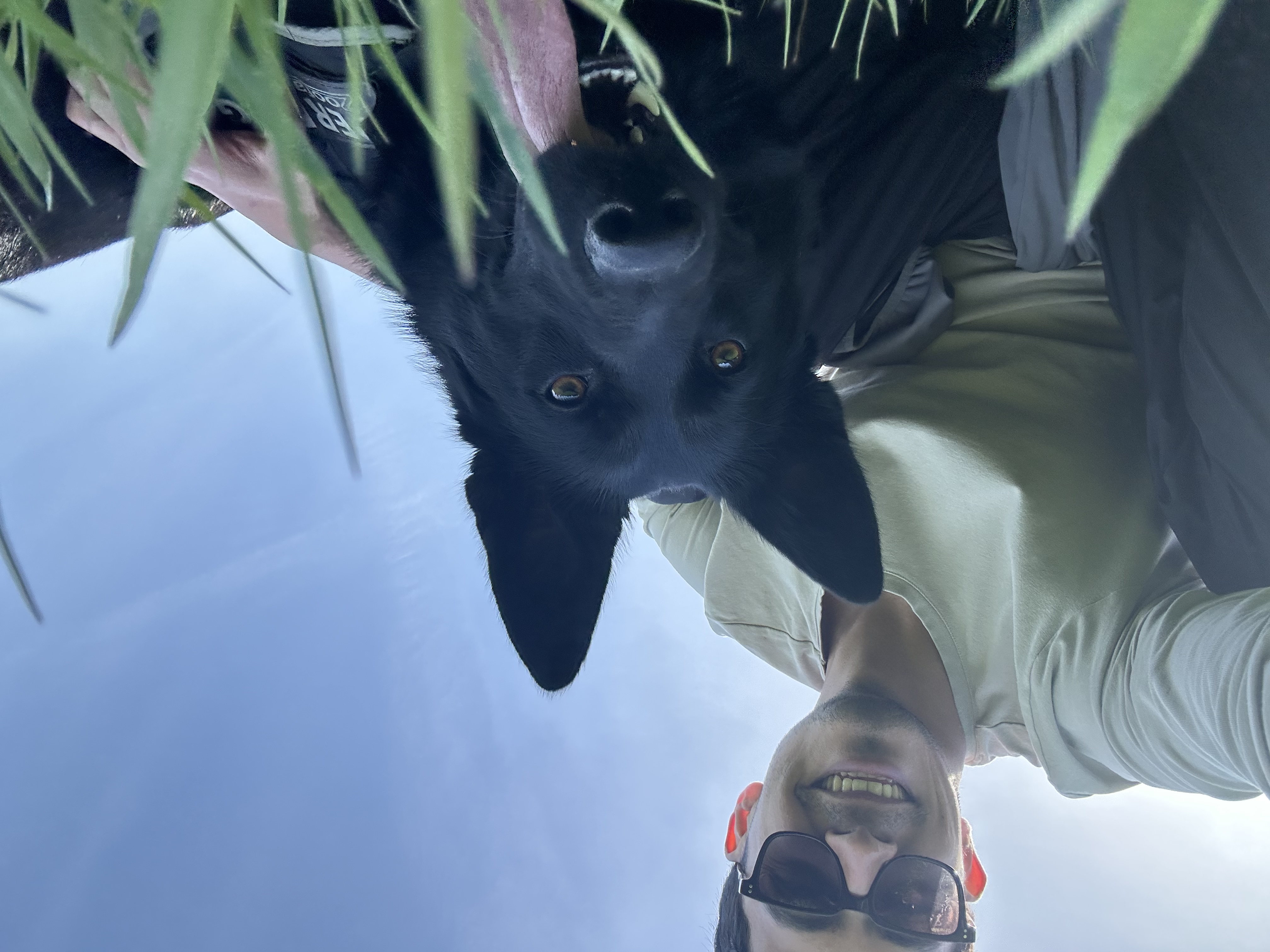 image-8