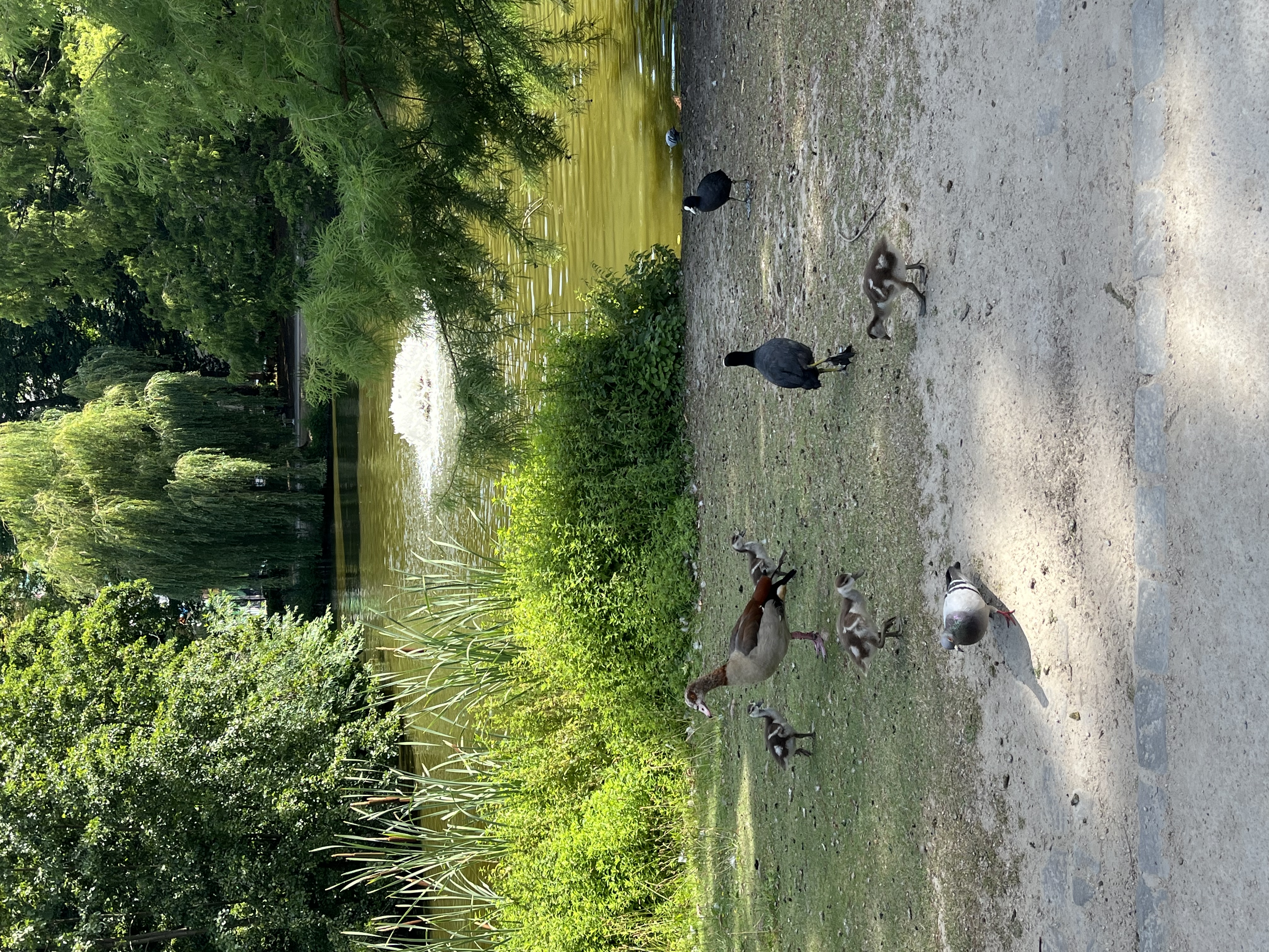 image-13