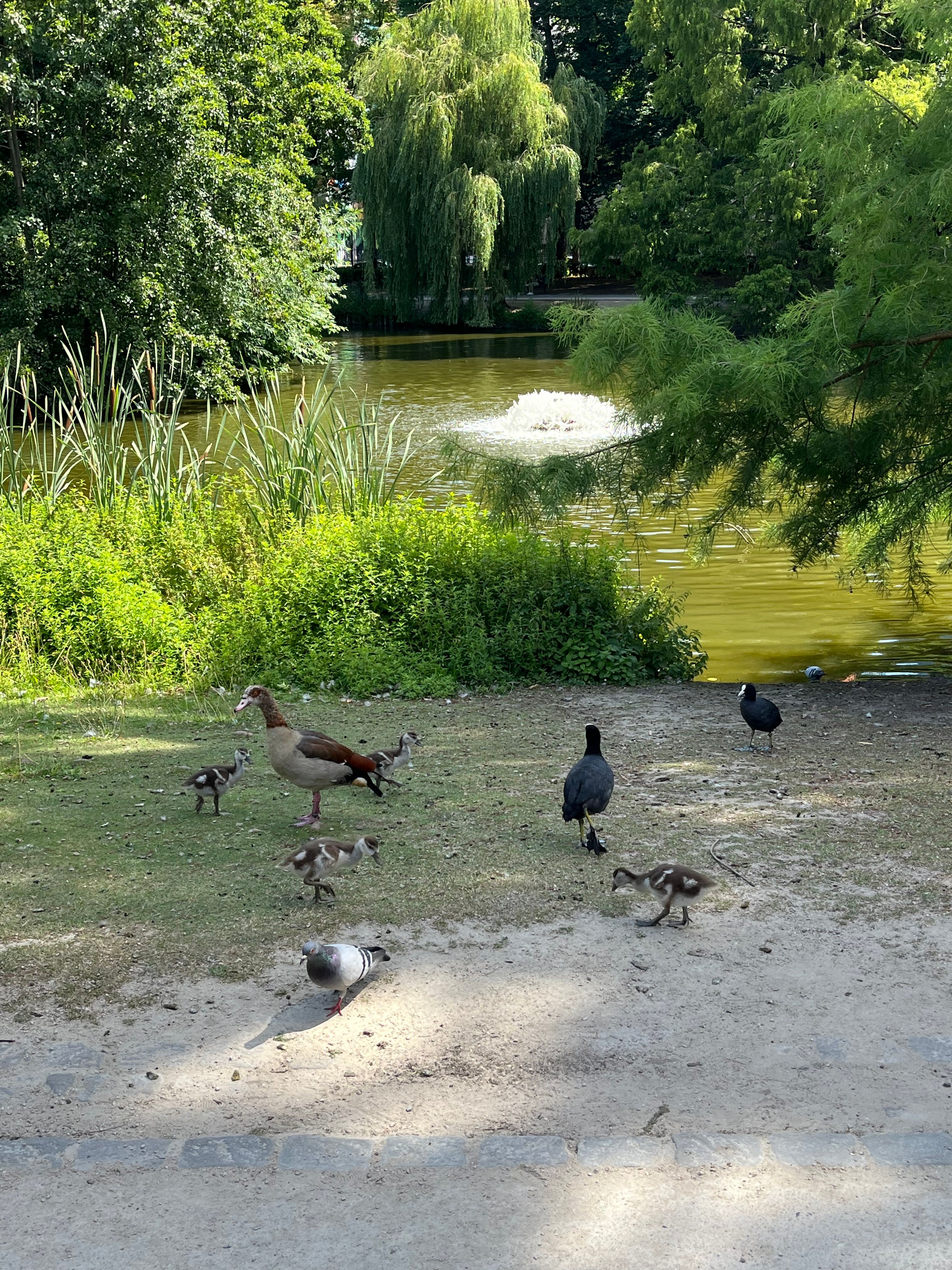 image-13
