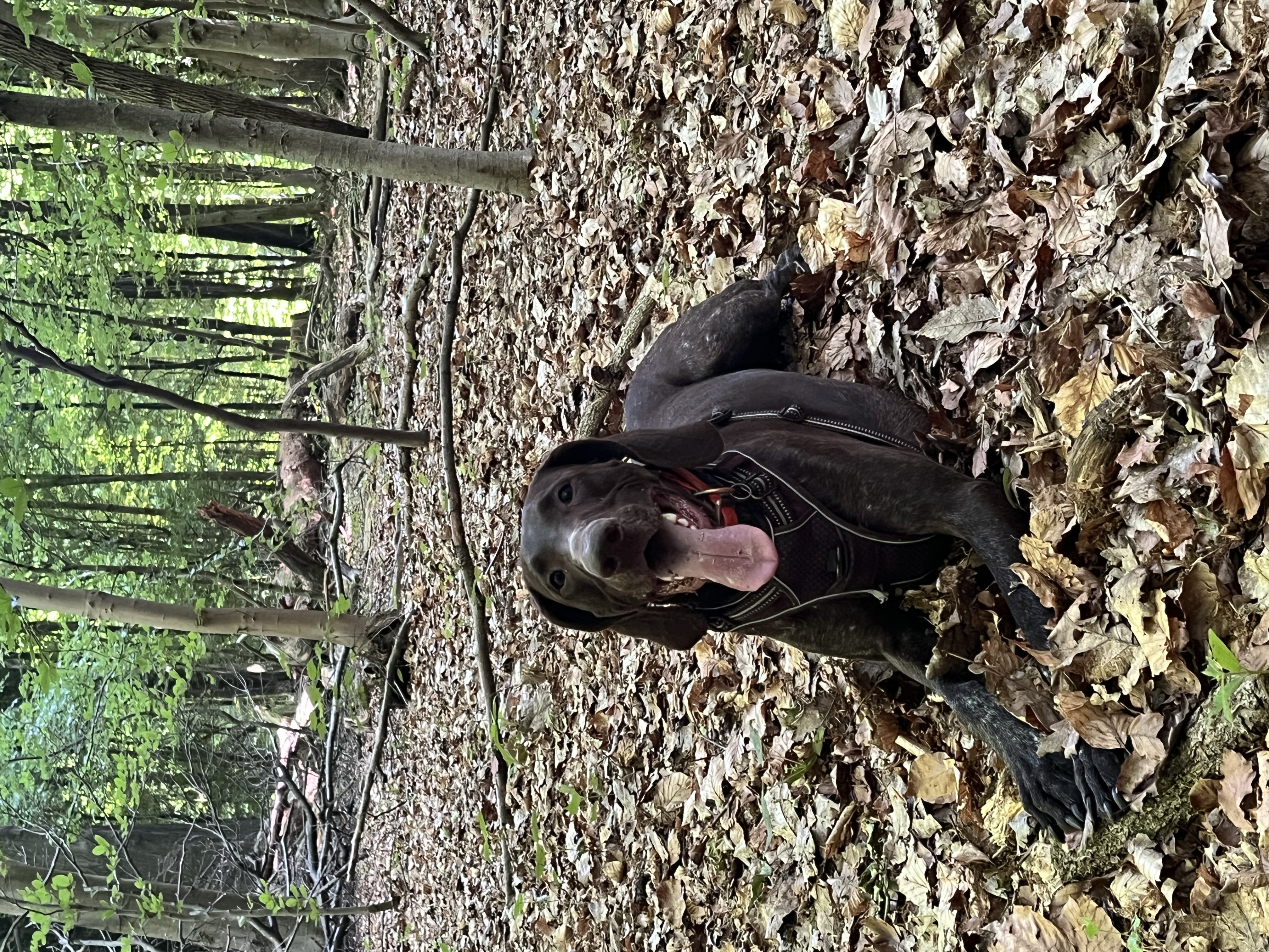 image-5