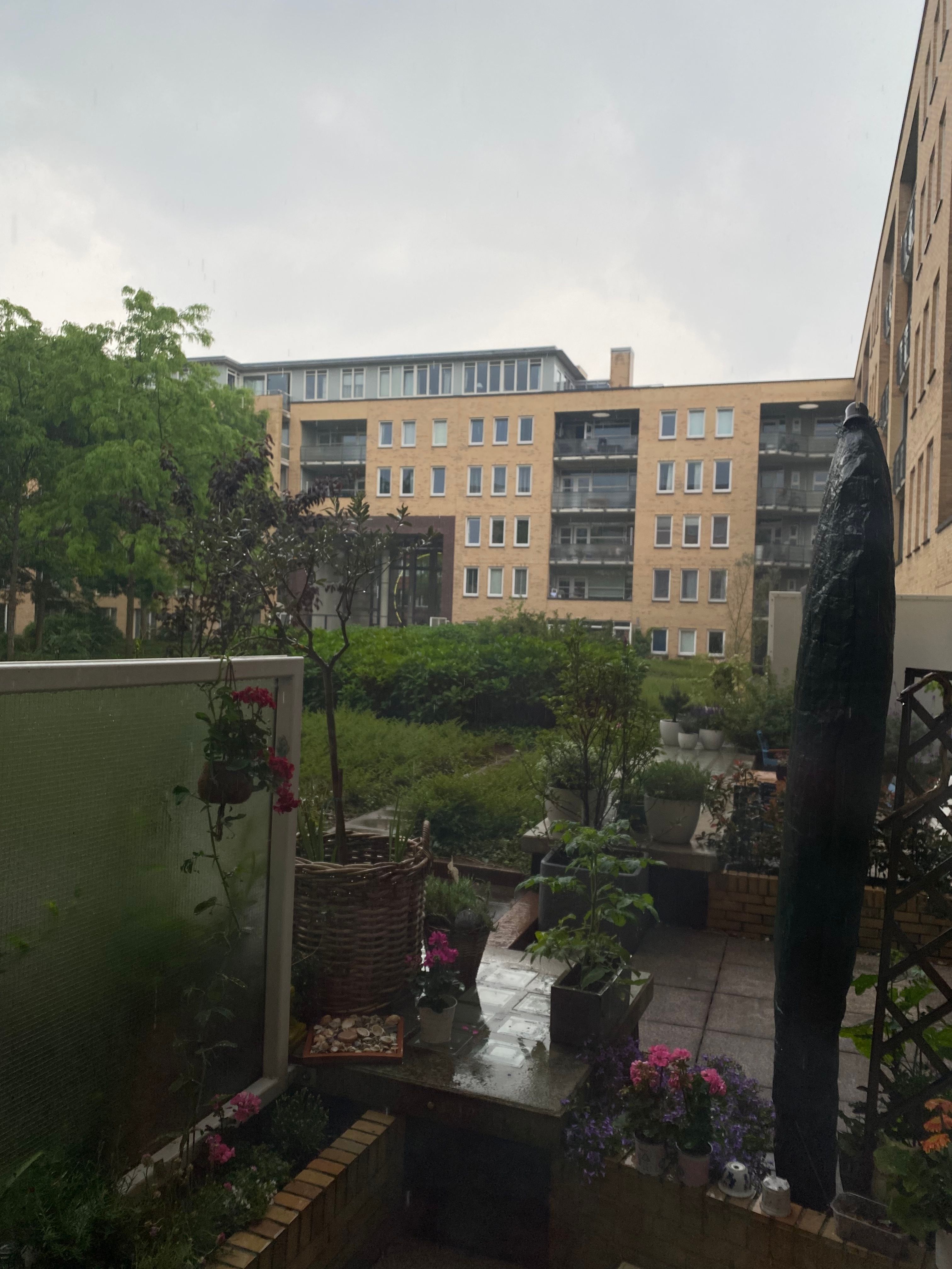 image-15