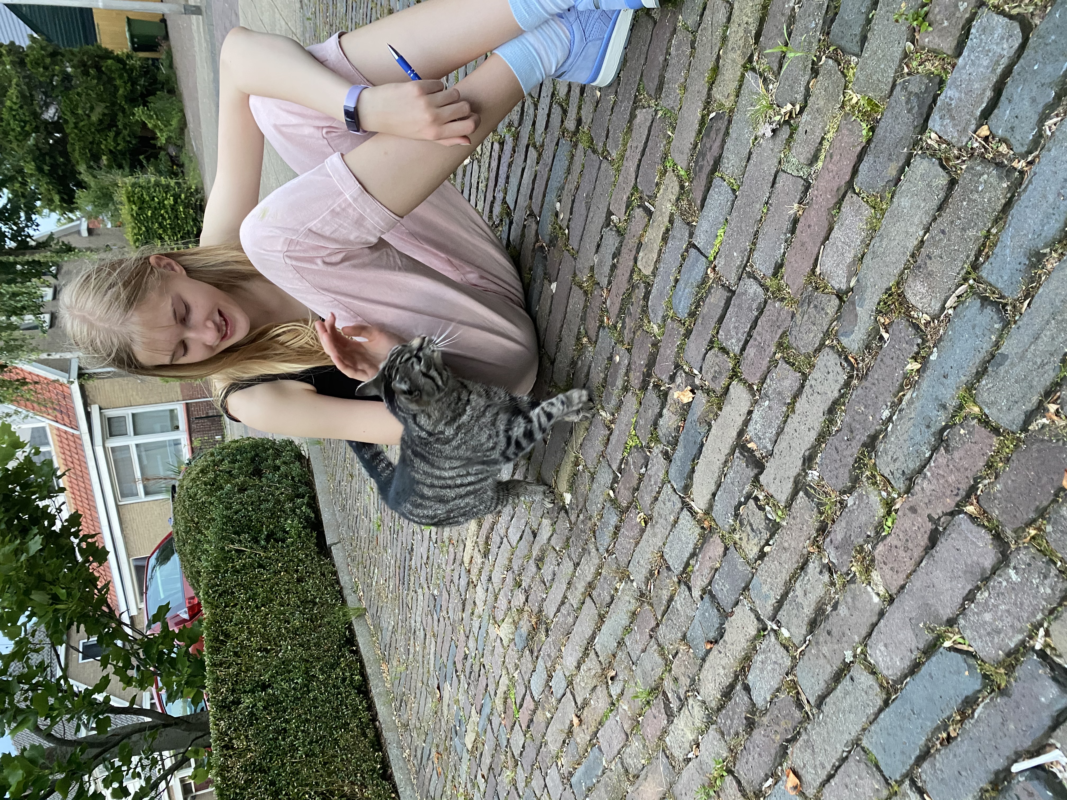 image-6