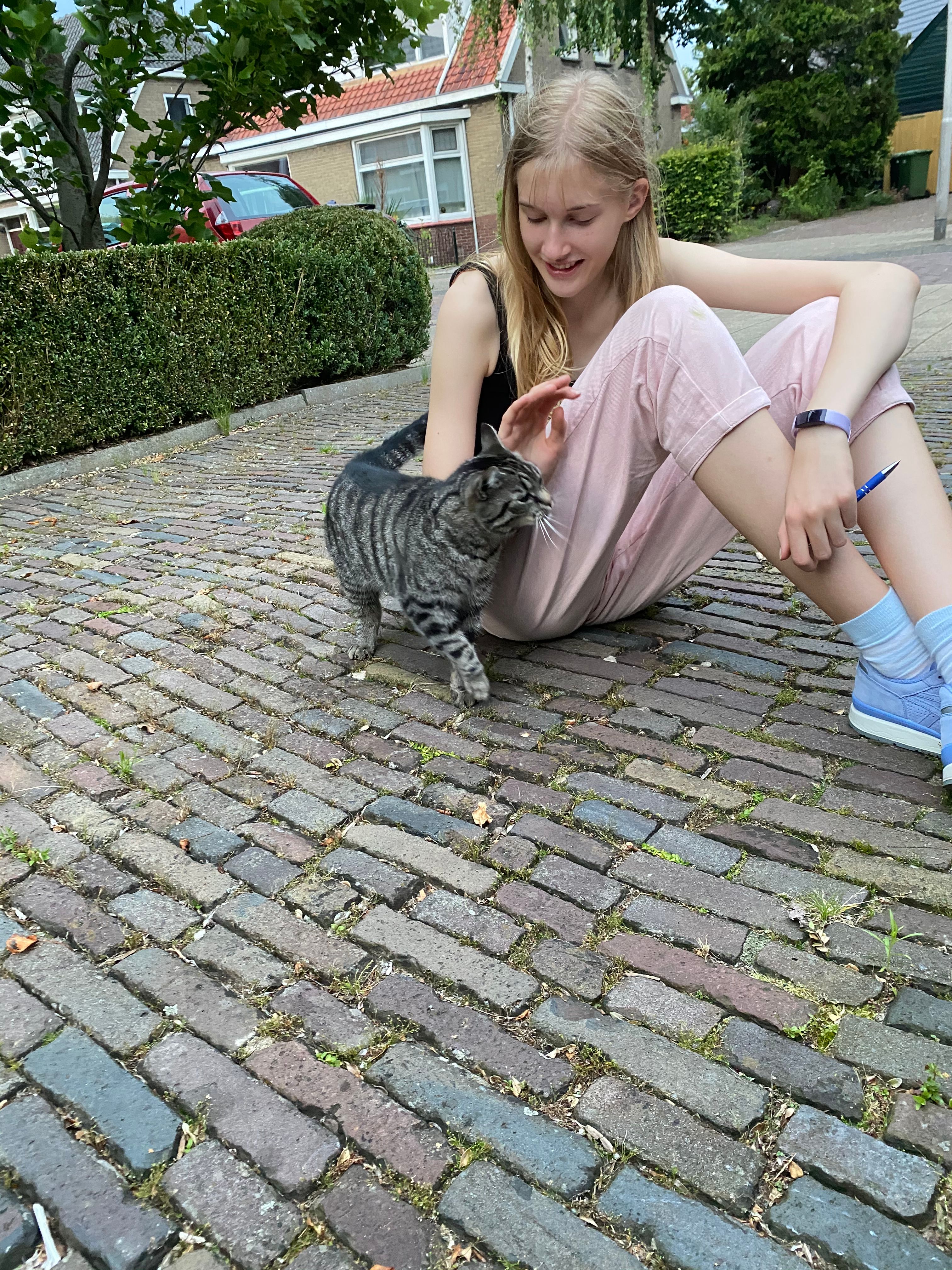image-6