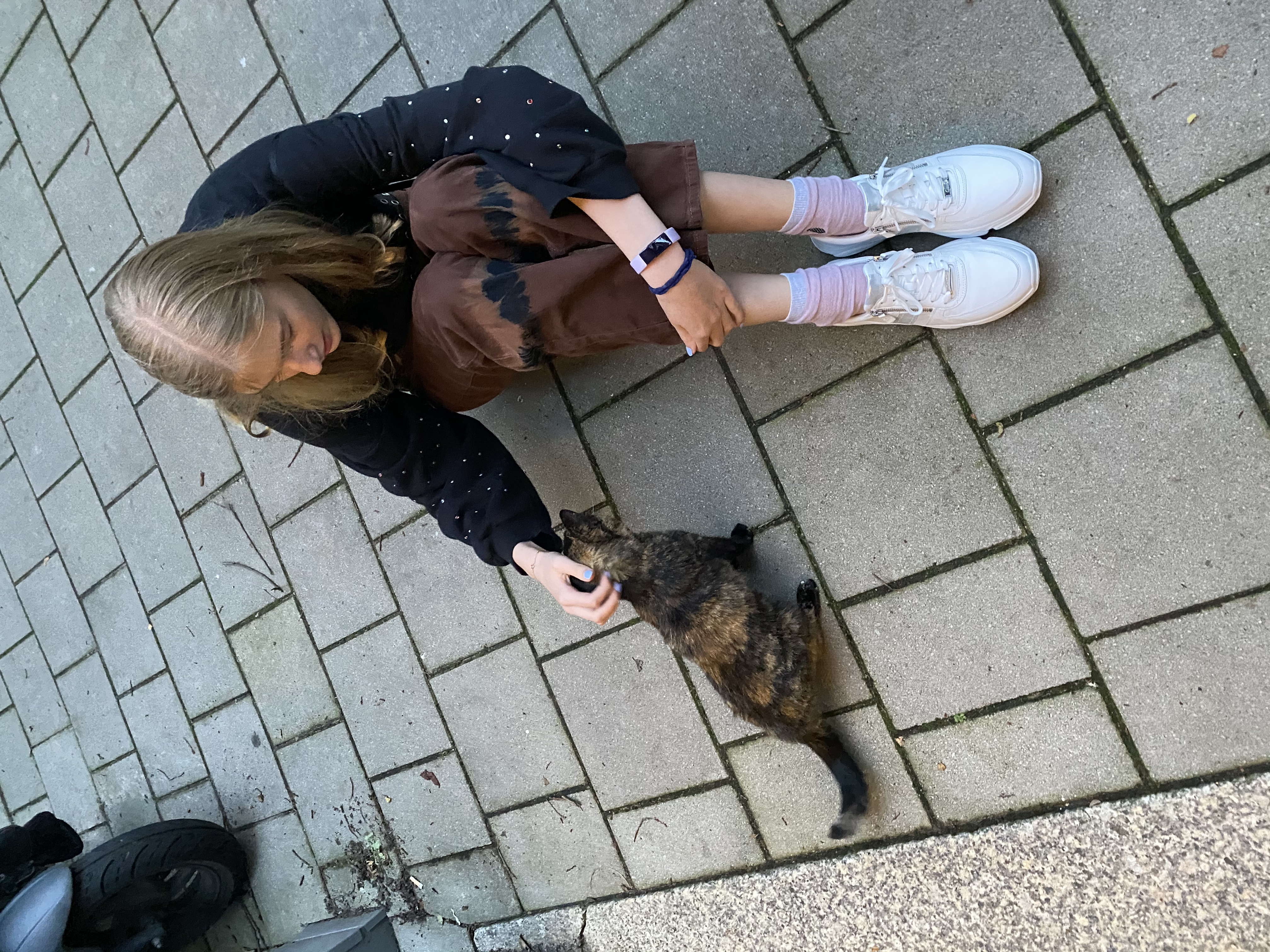 image-8