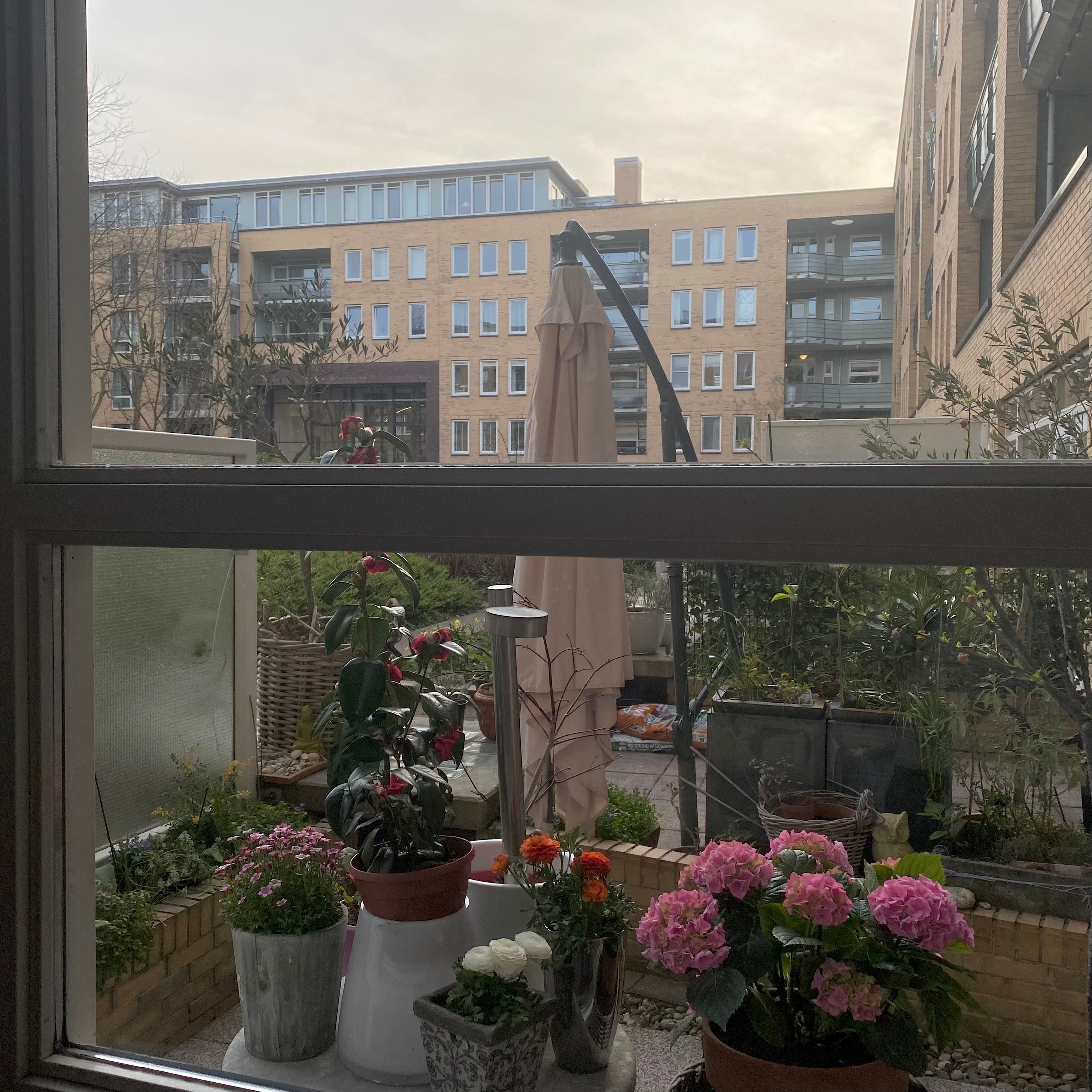 image-14