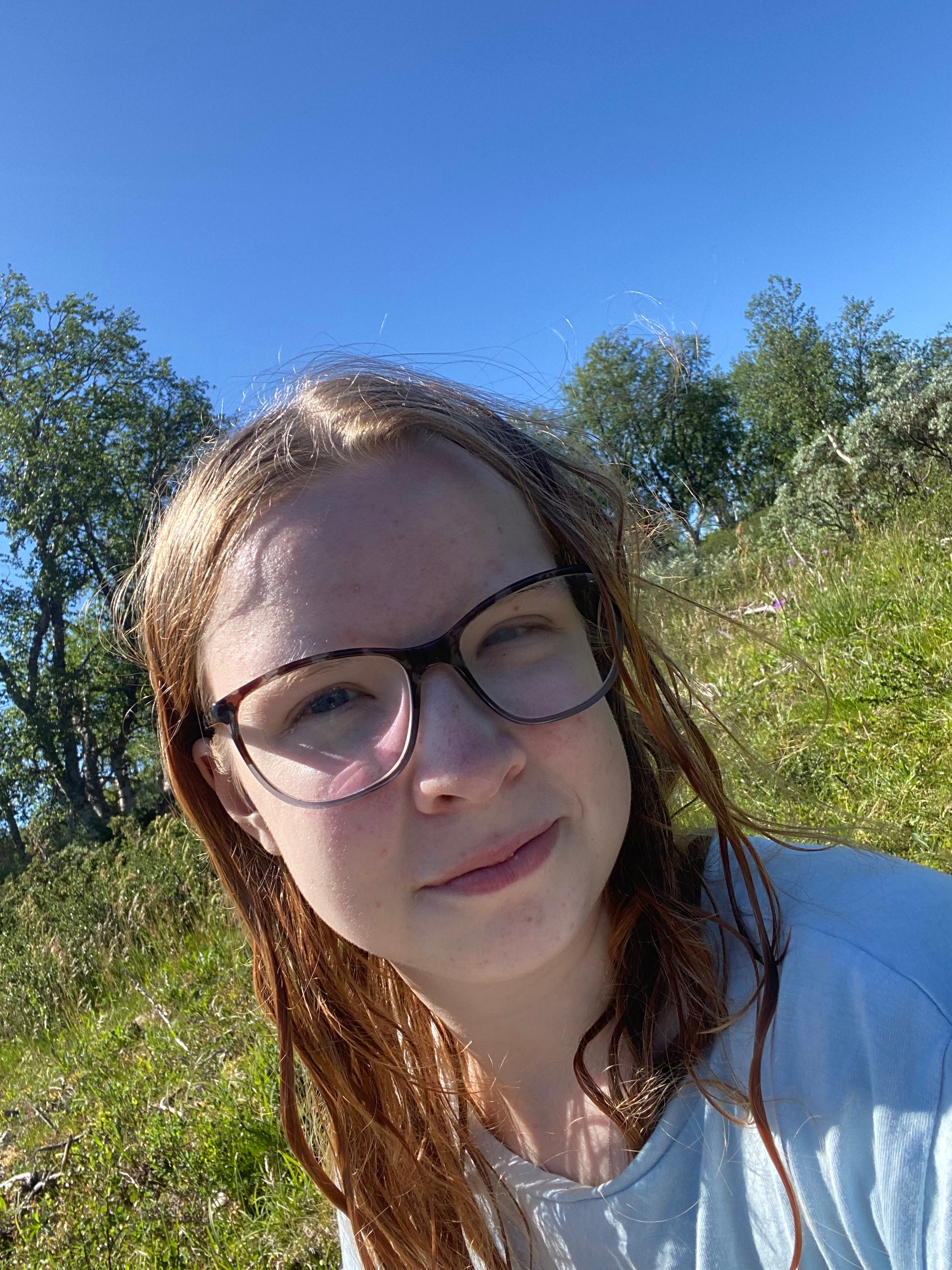 image-4