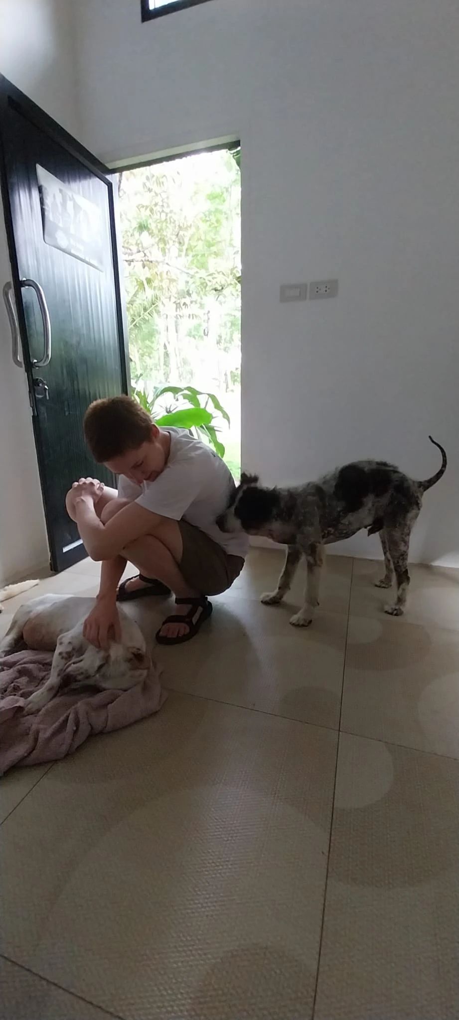 image-16