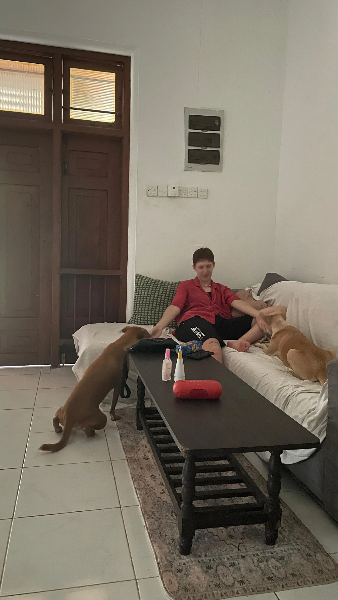 image-13