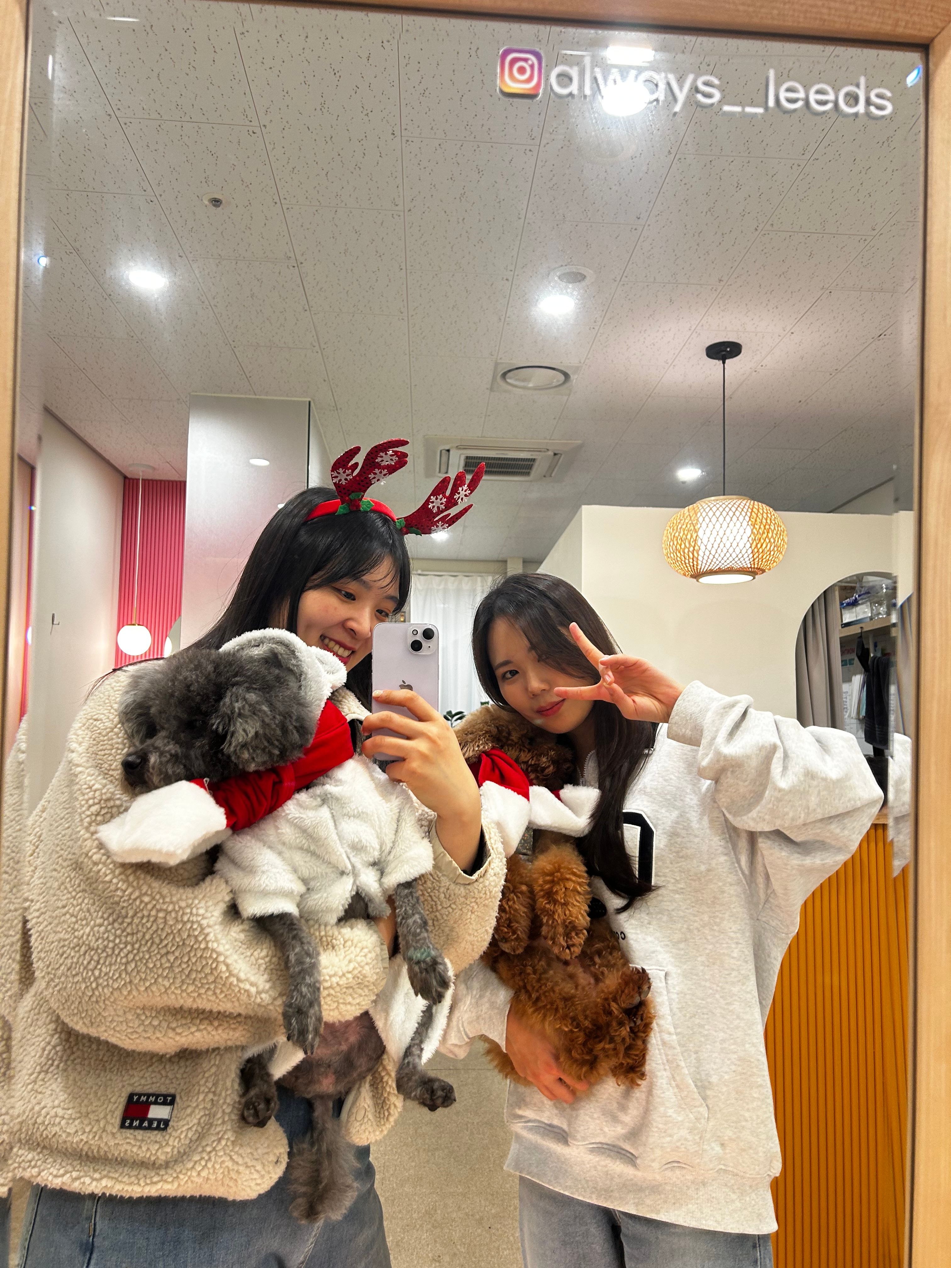 image-11