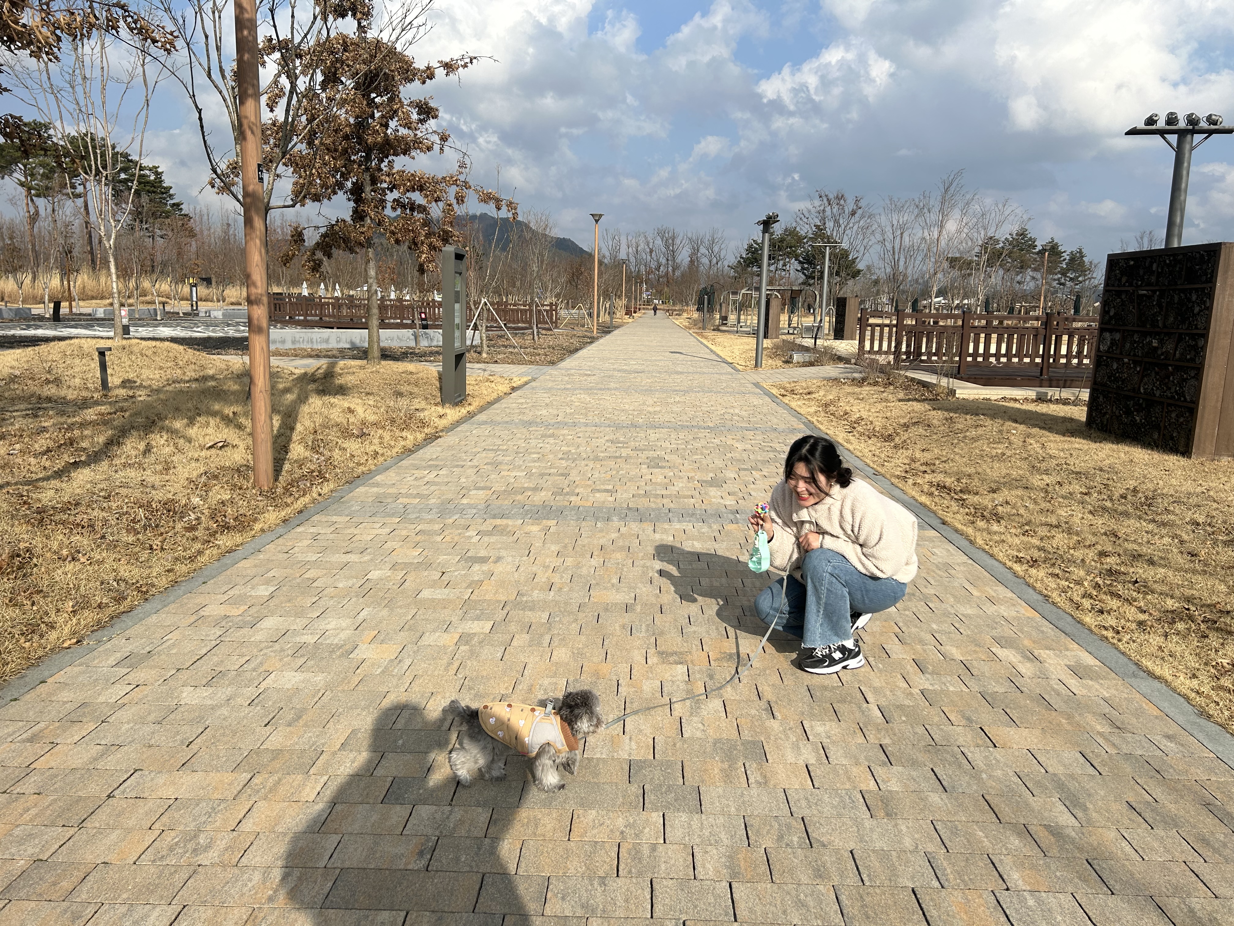 image-20
