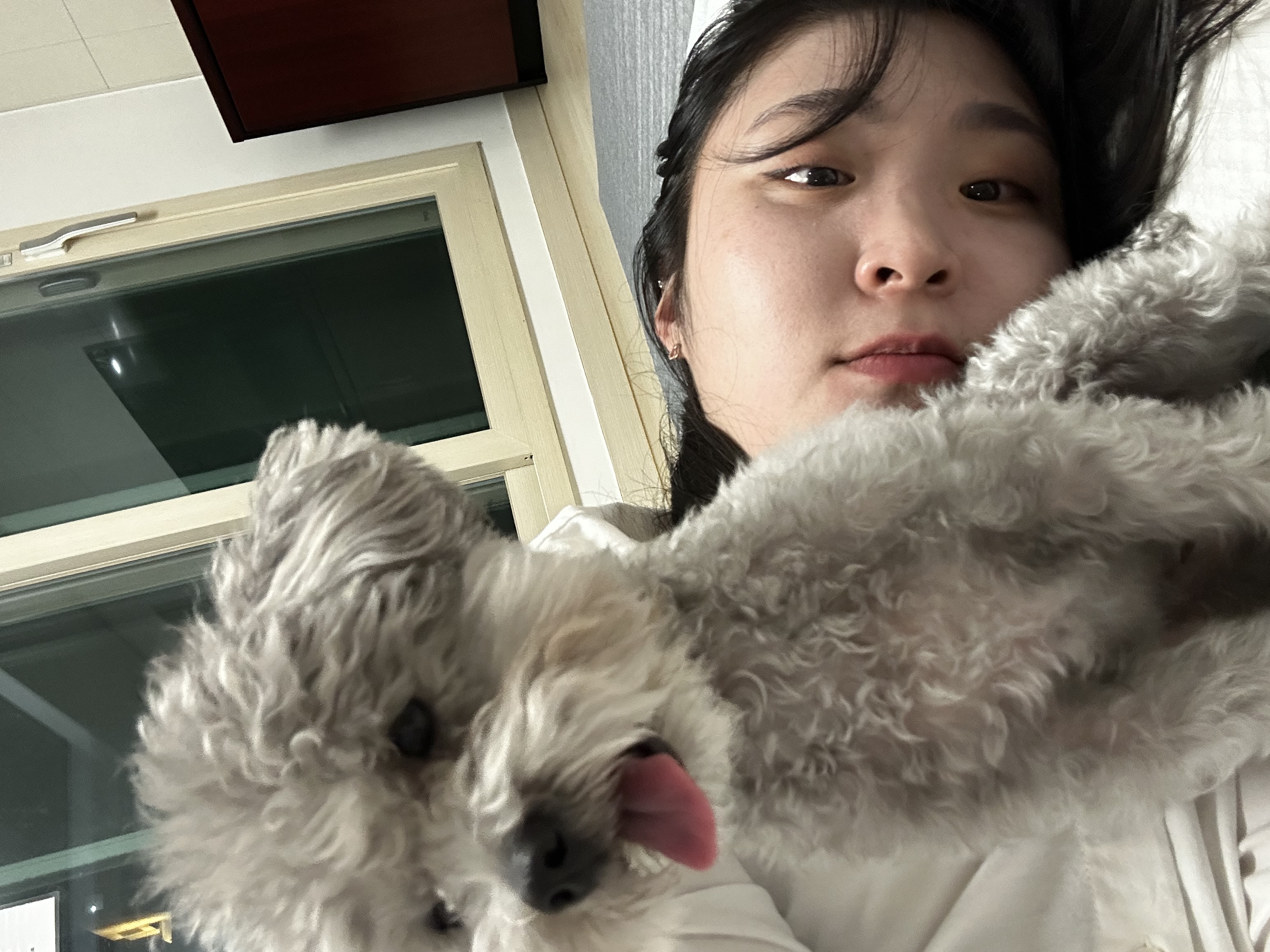 image-1