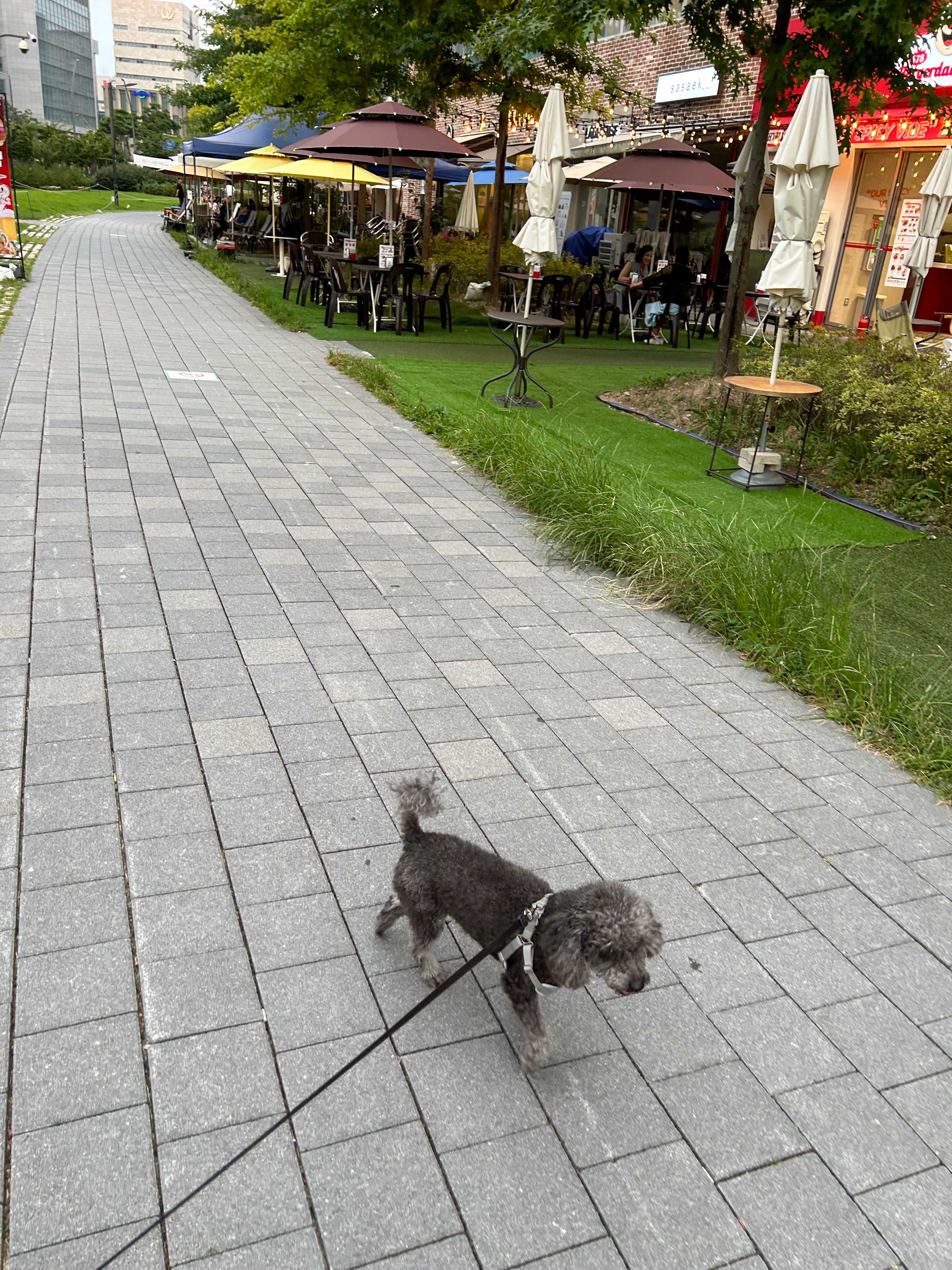 image-14