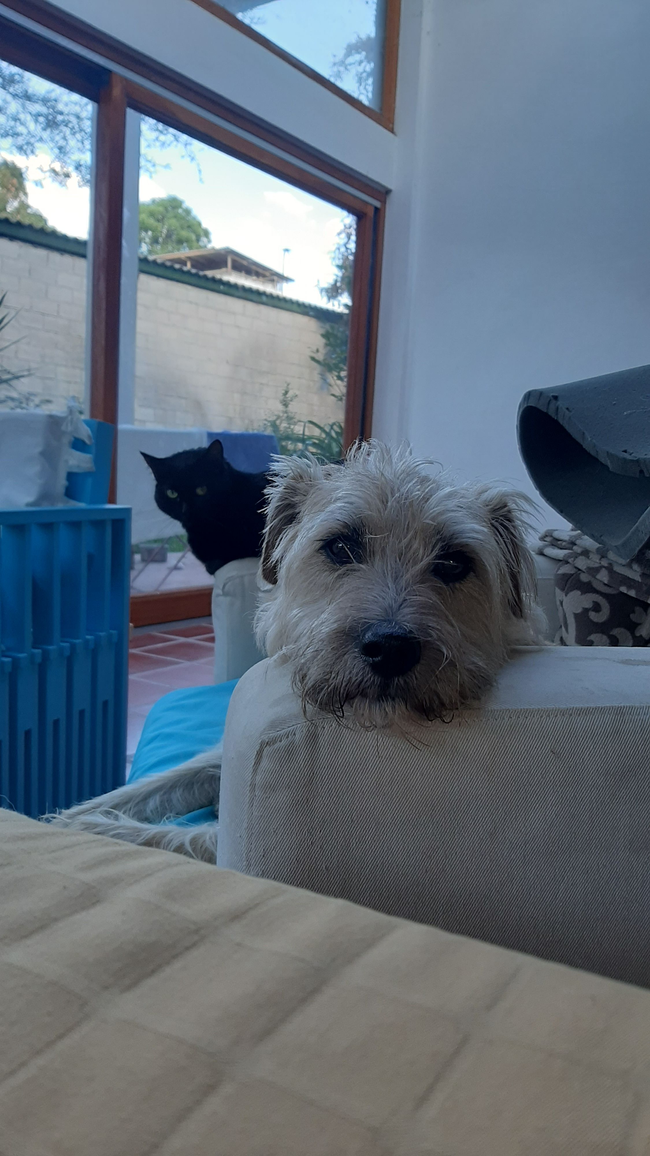 image-5