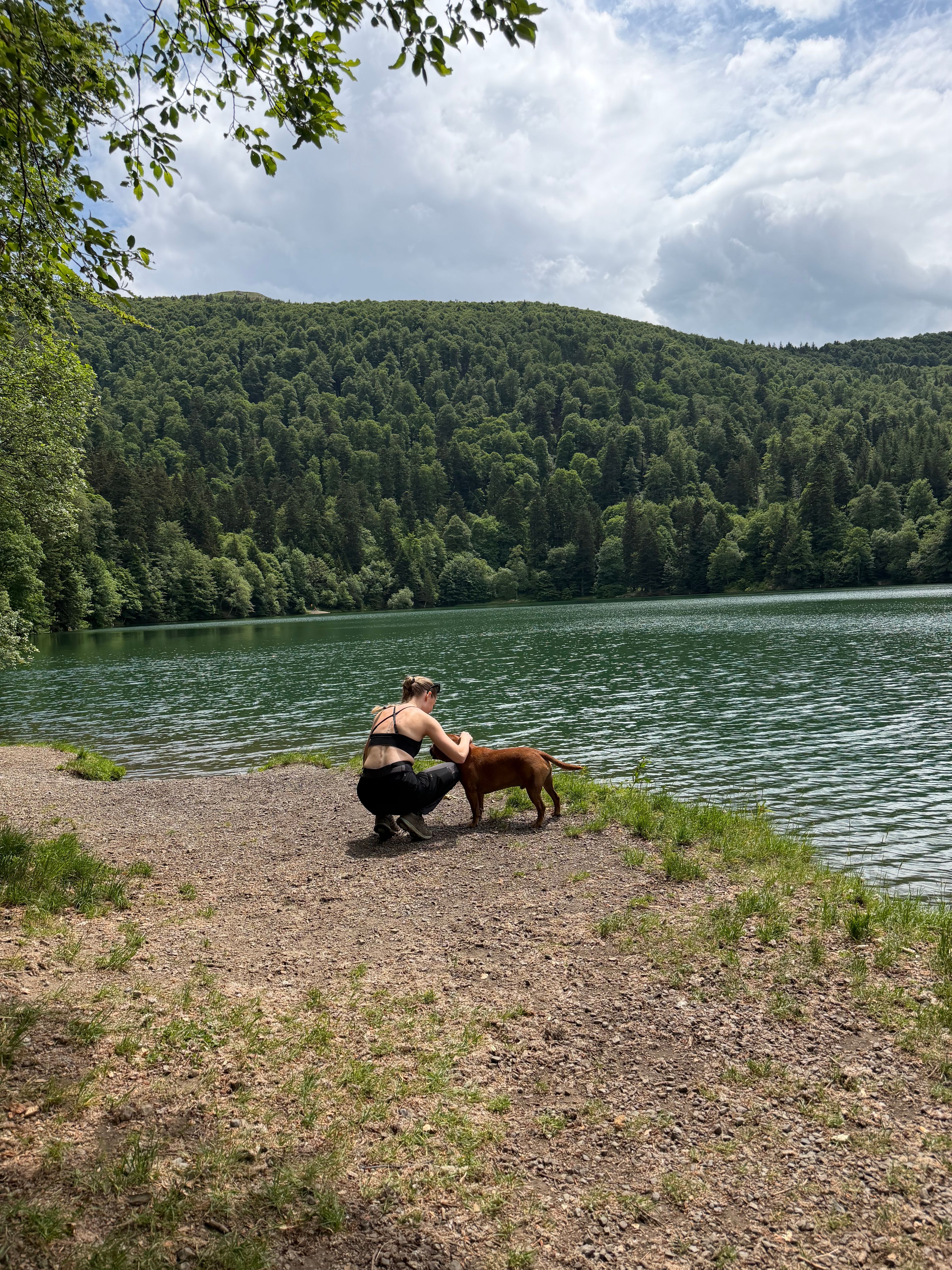 image-5