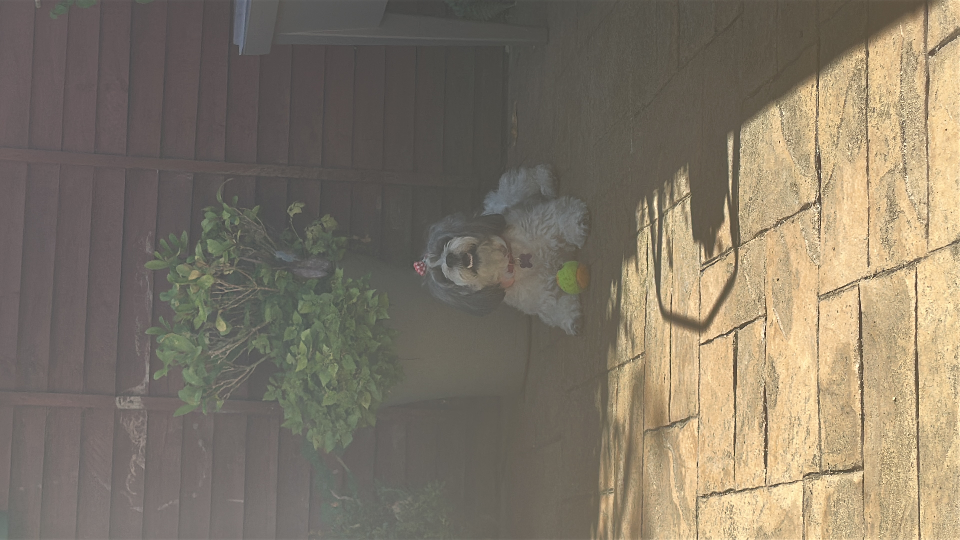 image-14