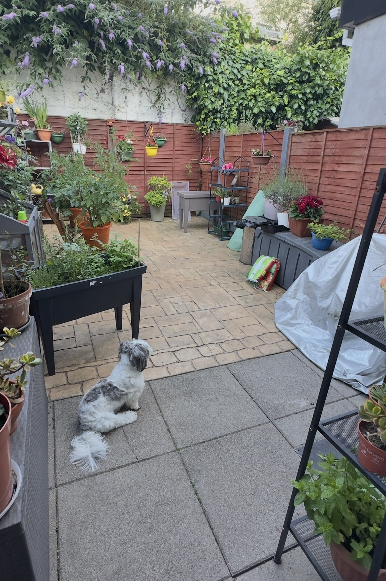 image-22