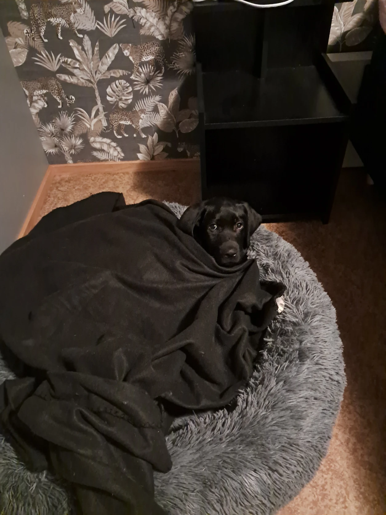 image-9