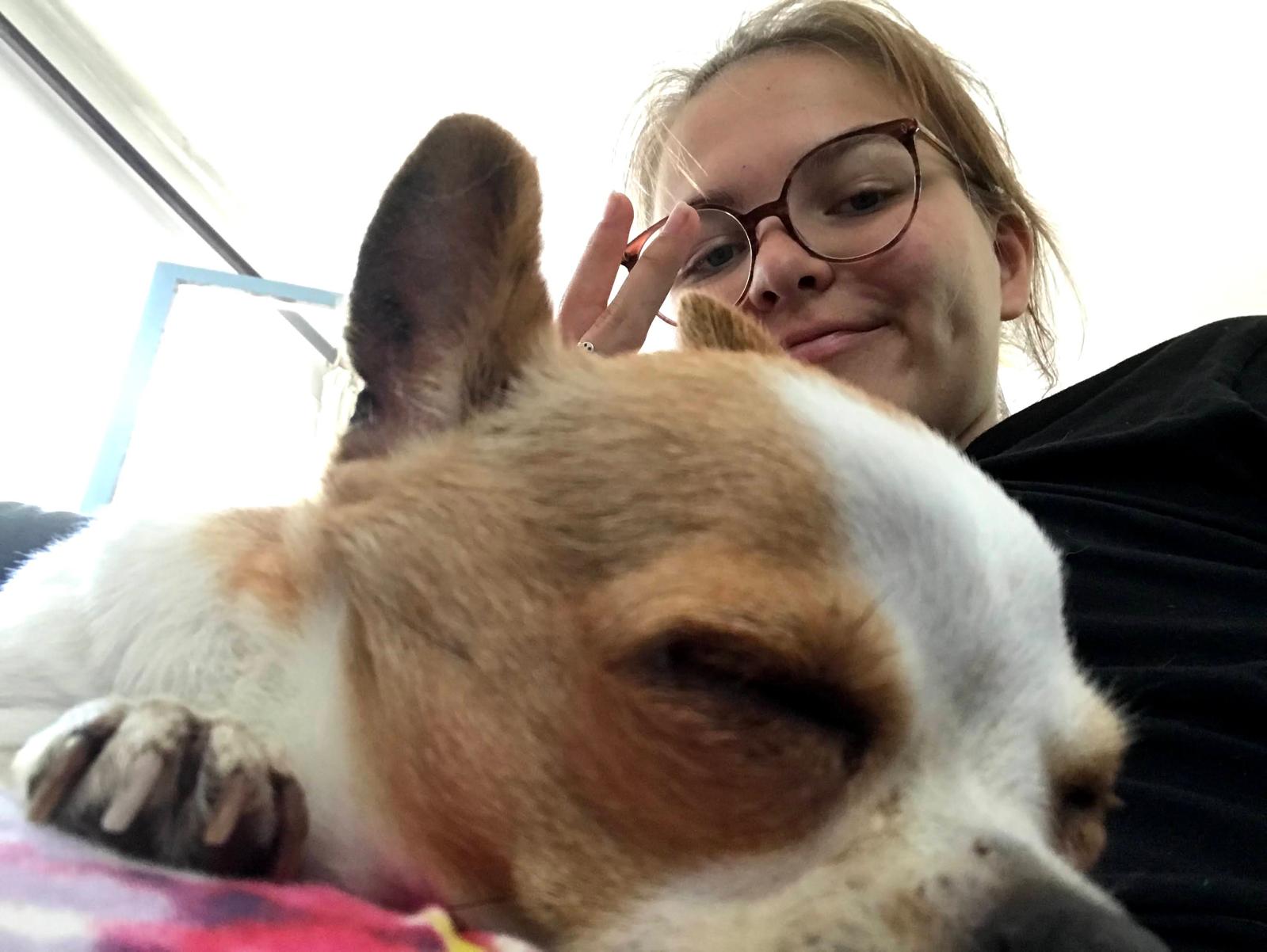 image-11