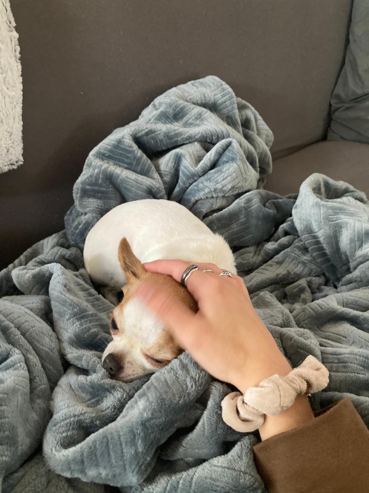 image-10
