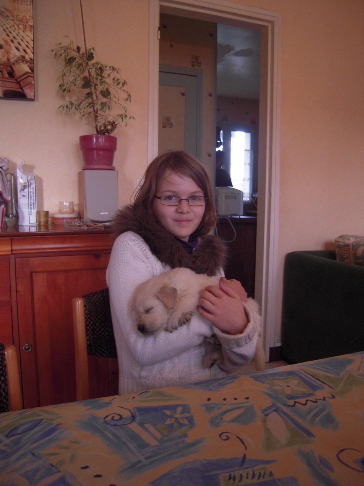 image-7
