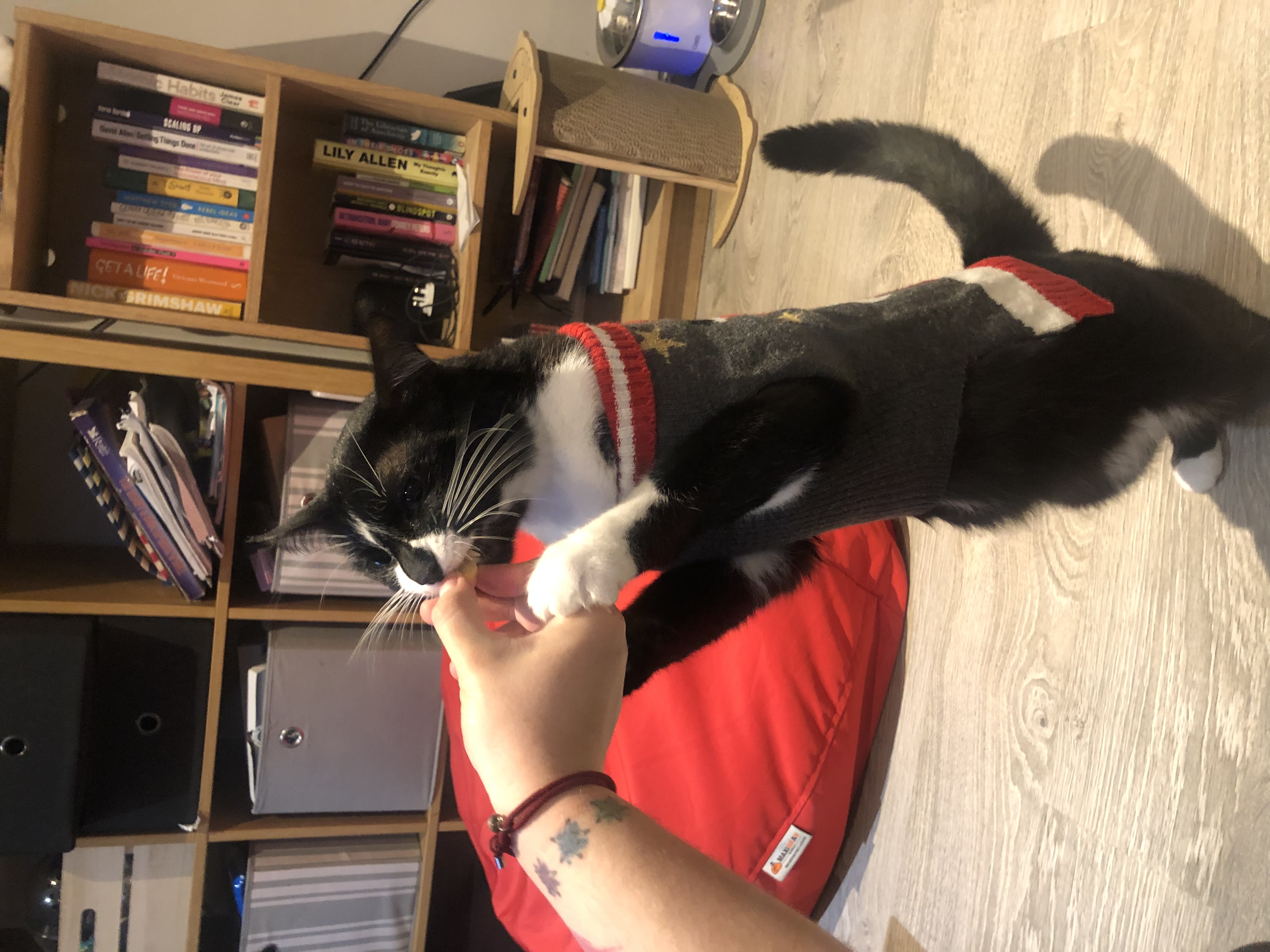 image-6