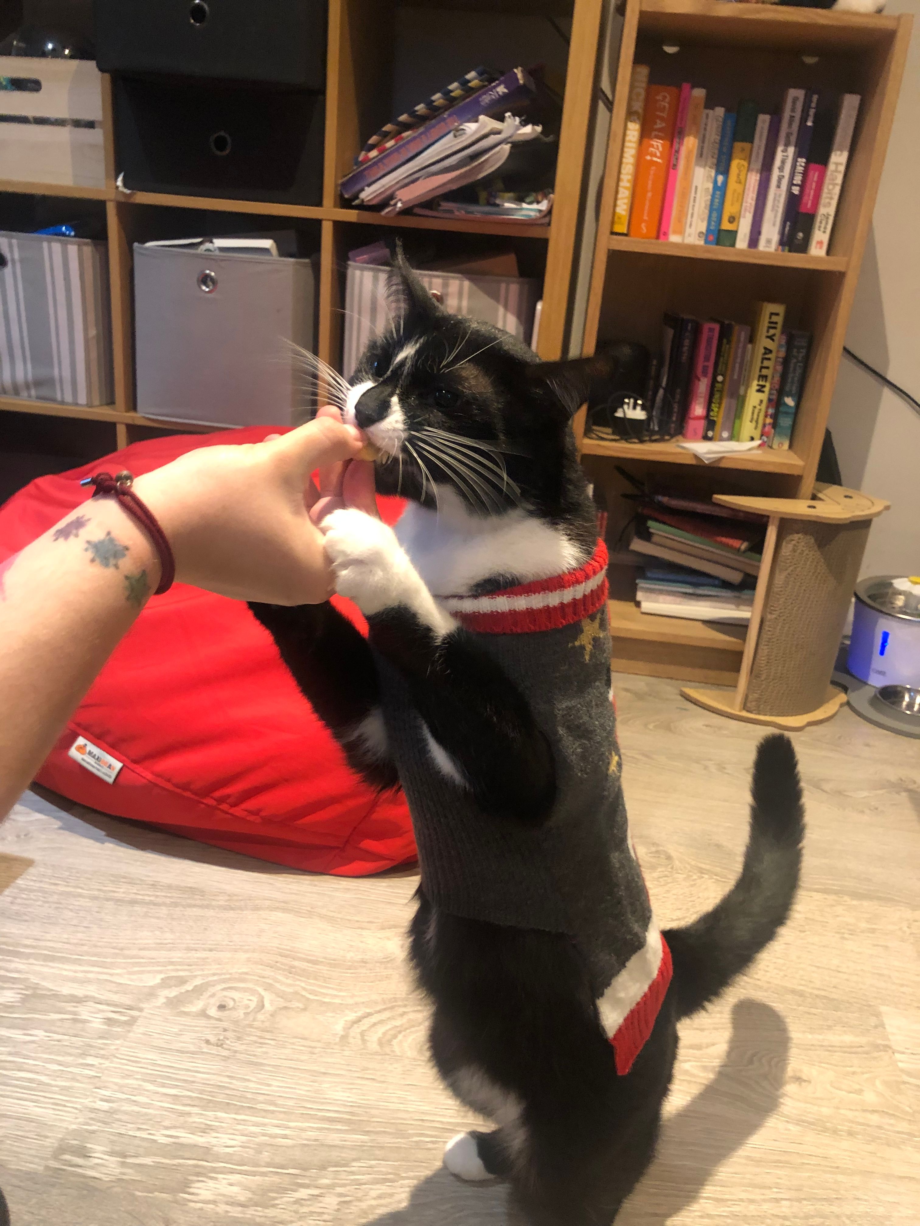 image-6
