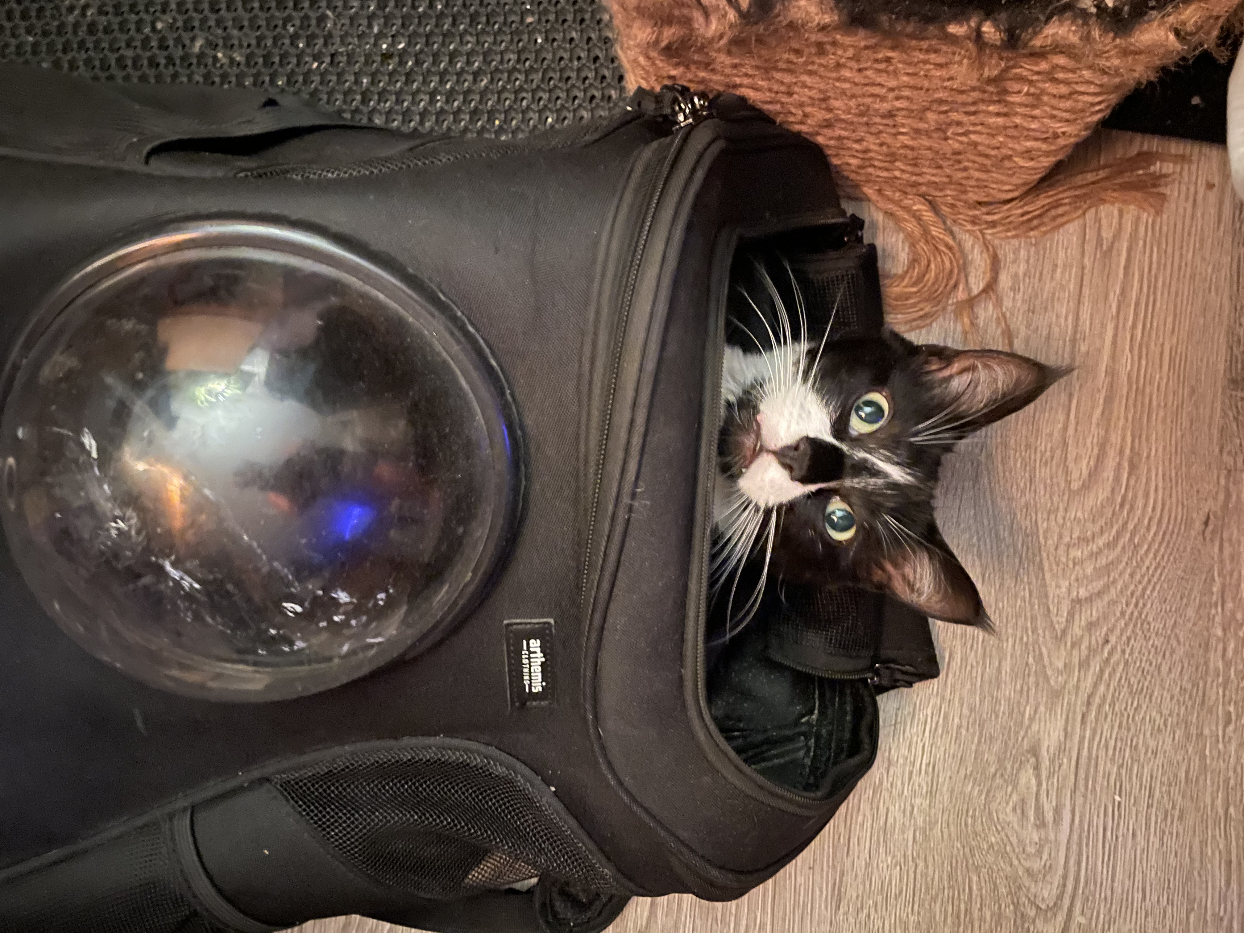 image-9