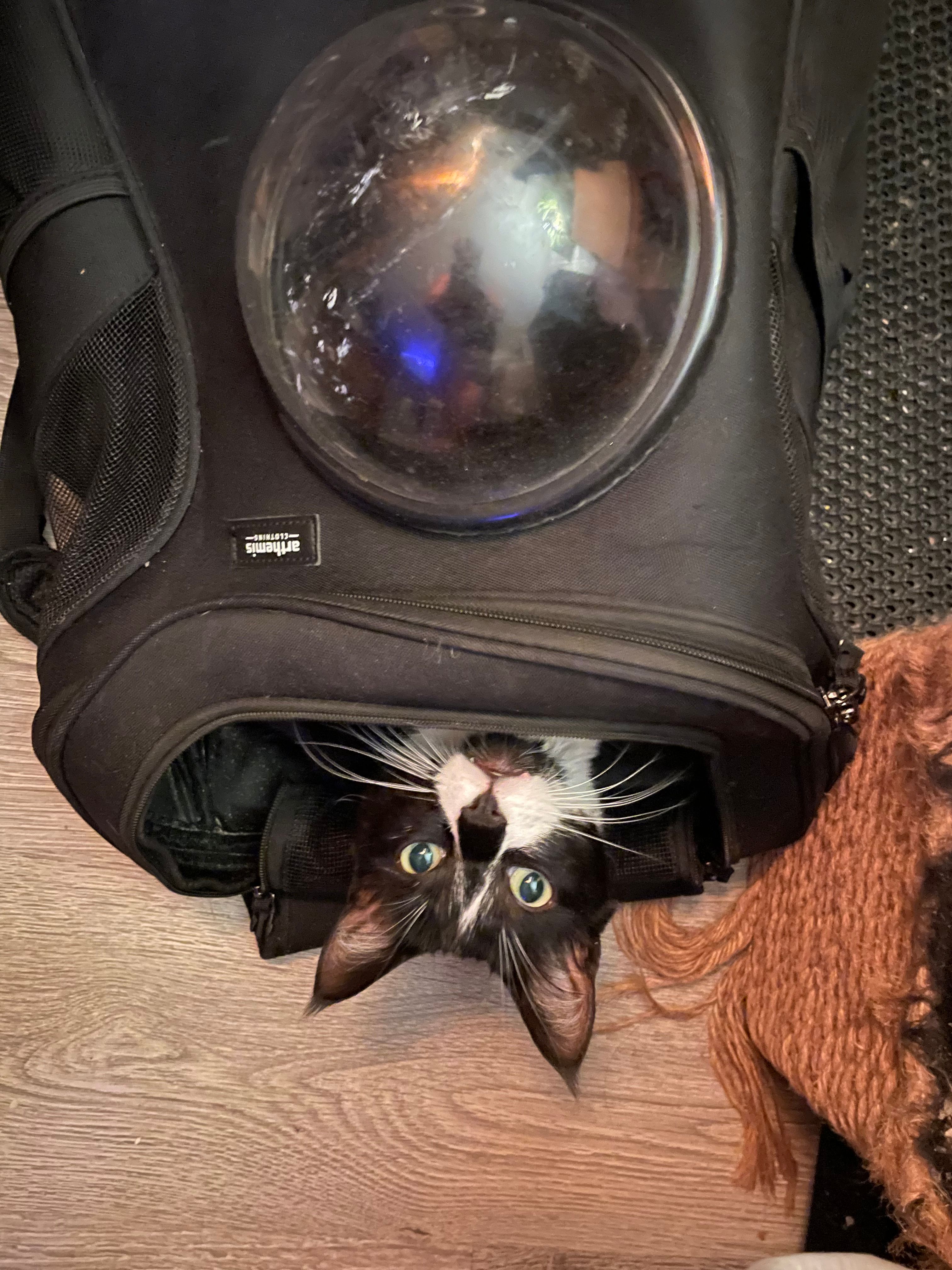 image-9