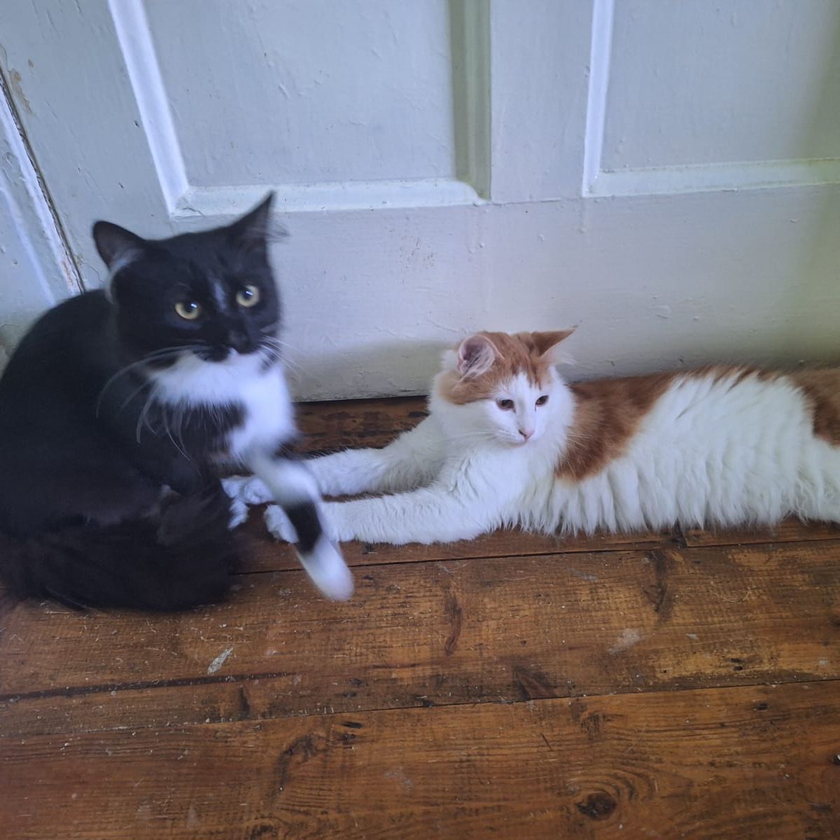 Broden and Boots