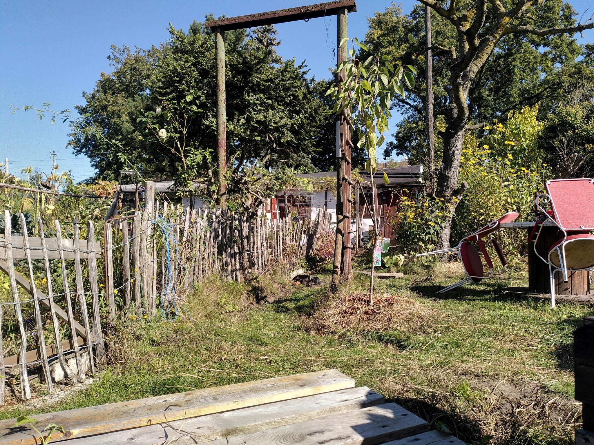image-18