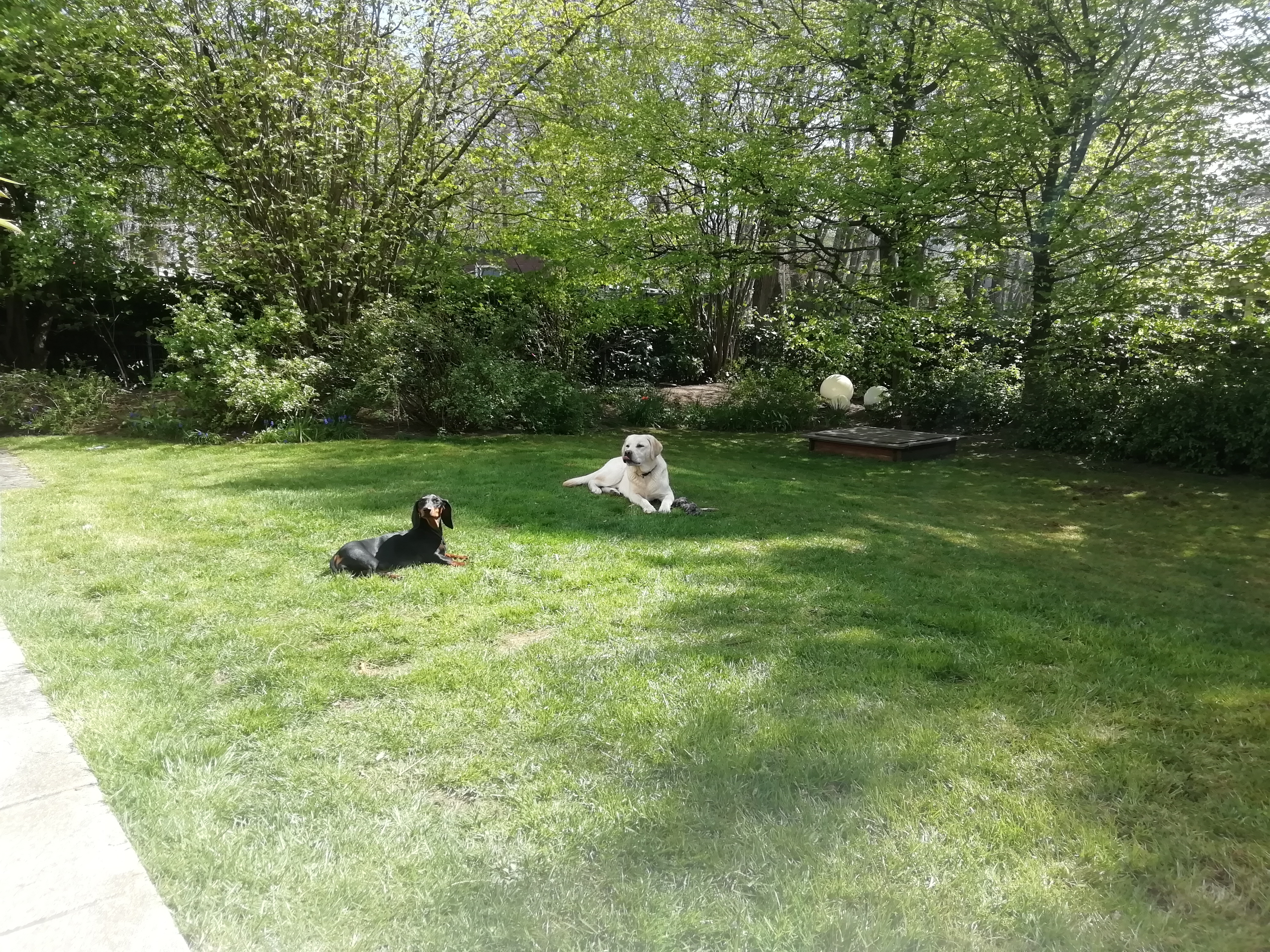 image-5