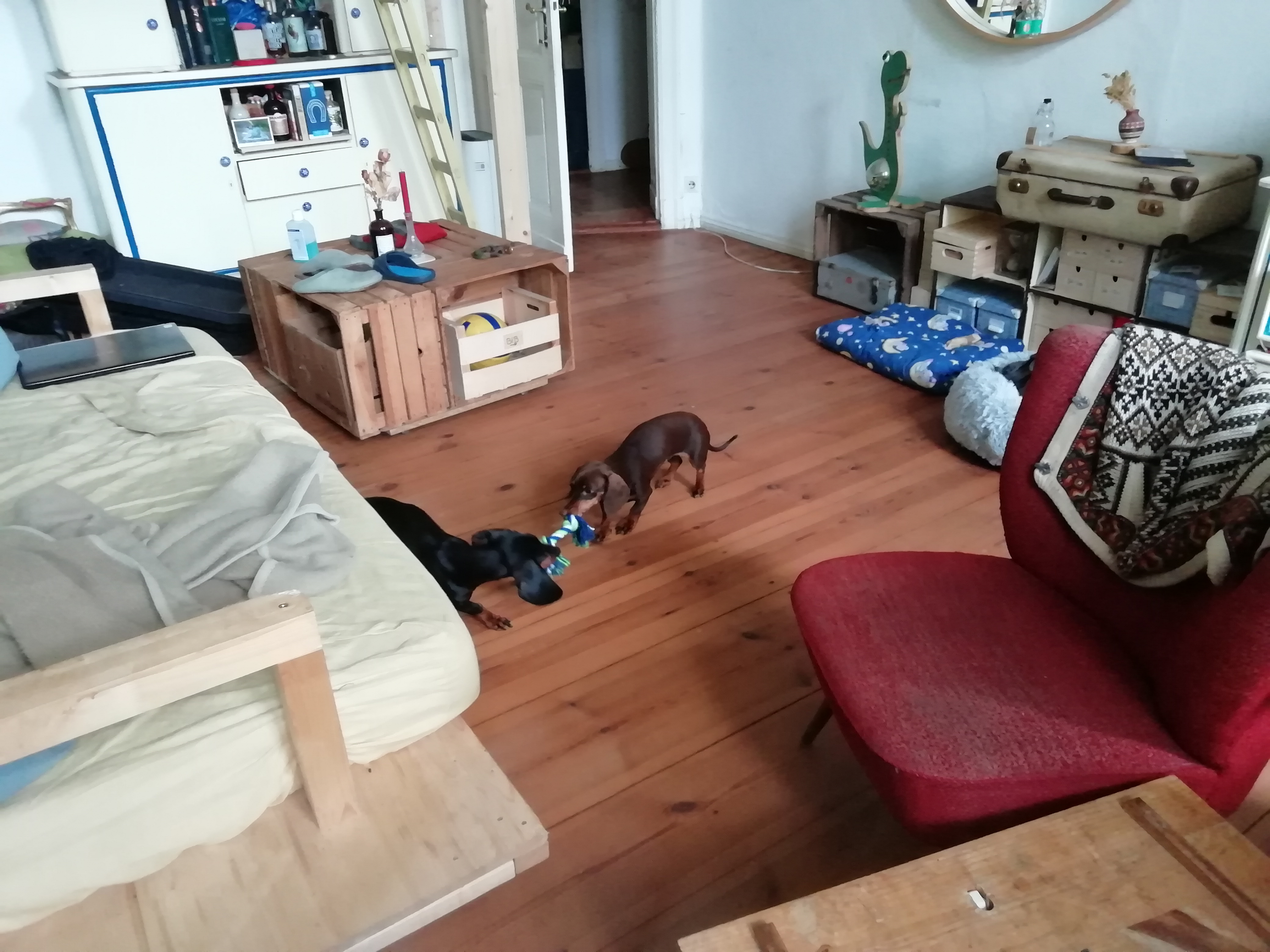 image-15
