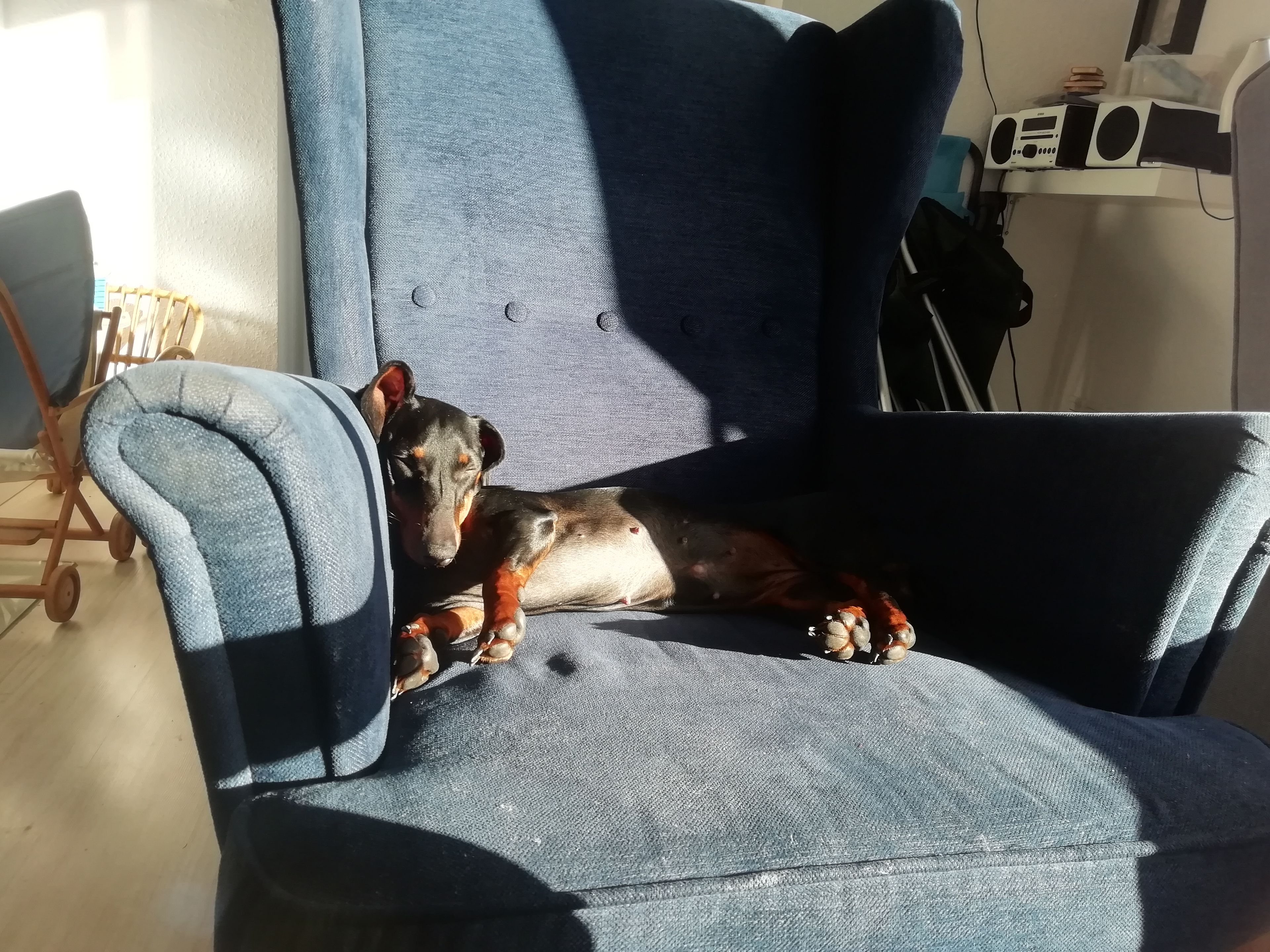 image-7