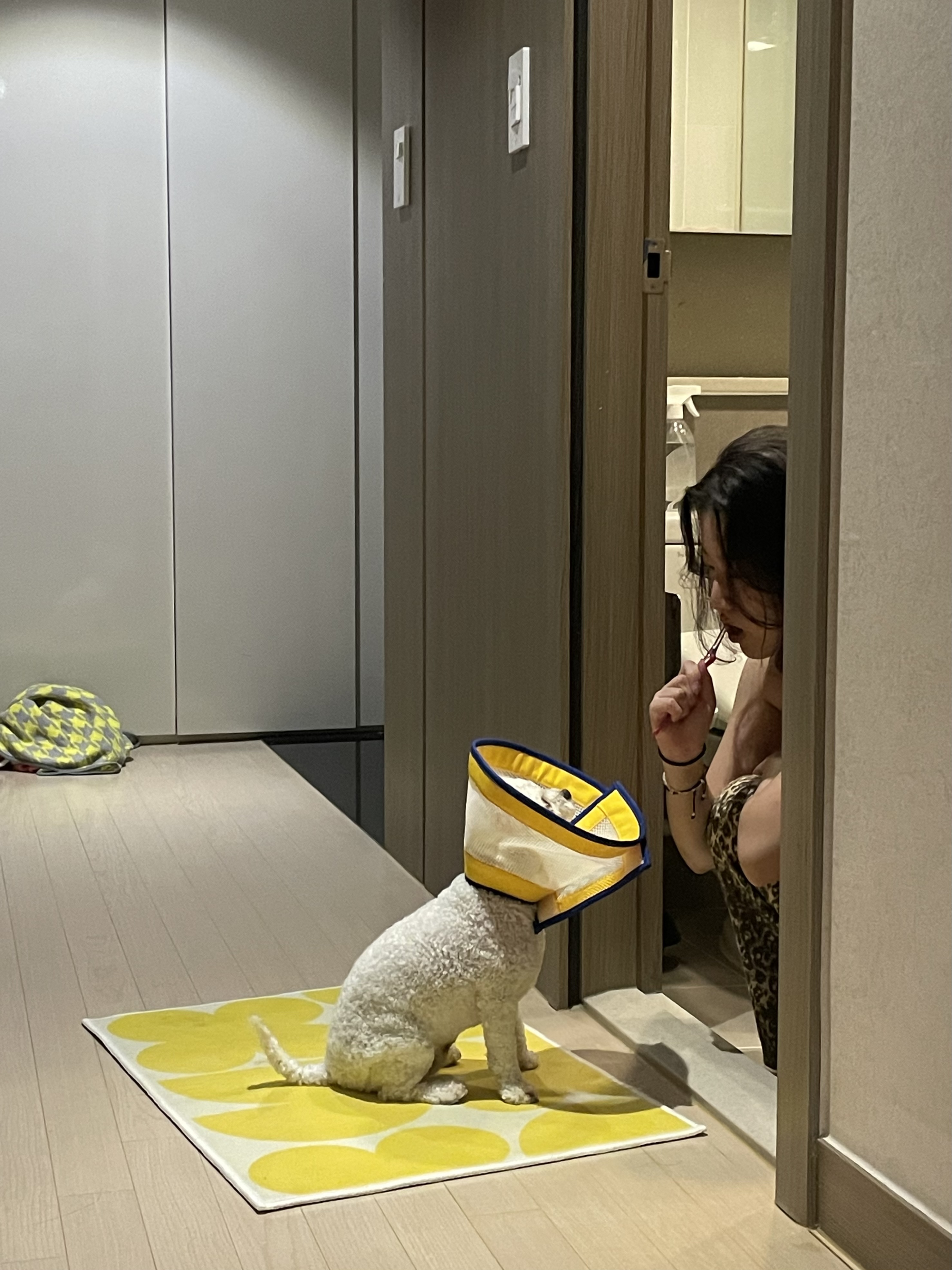 image-6