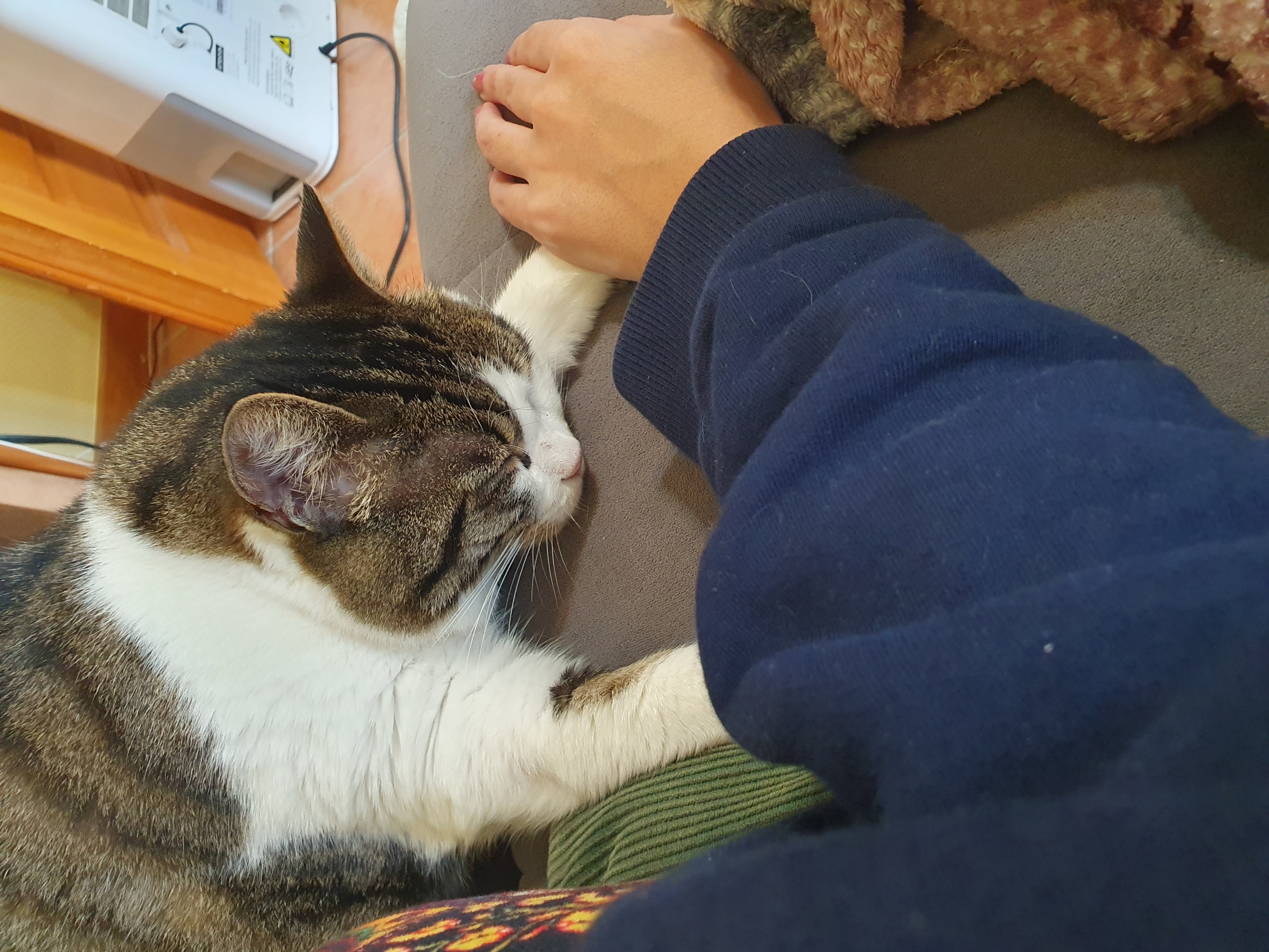 image-5