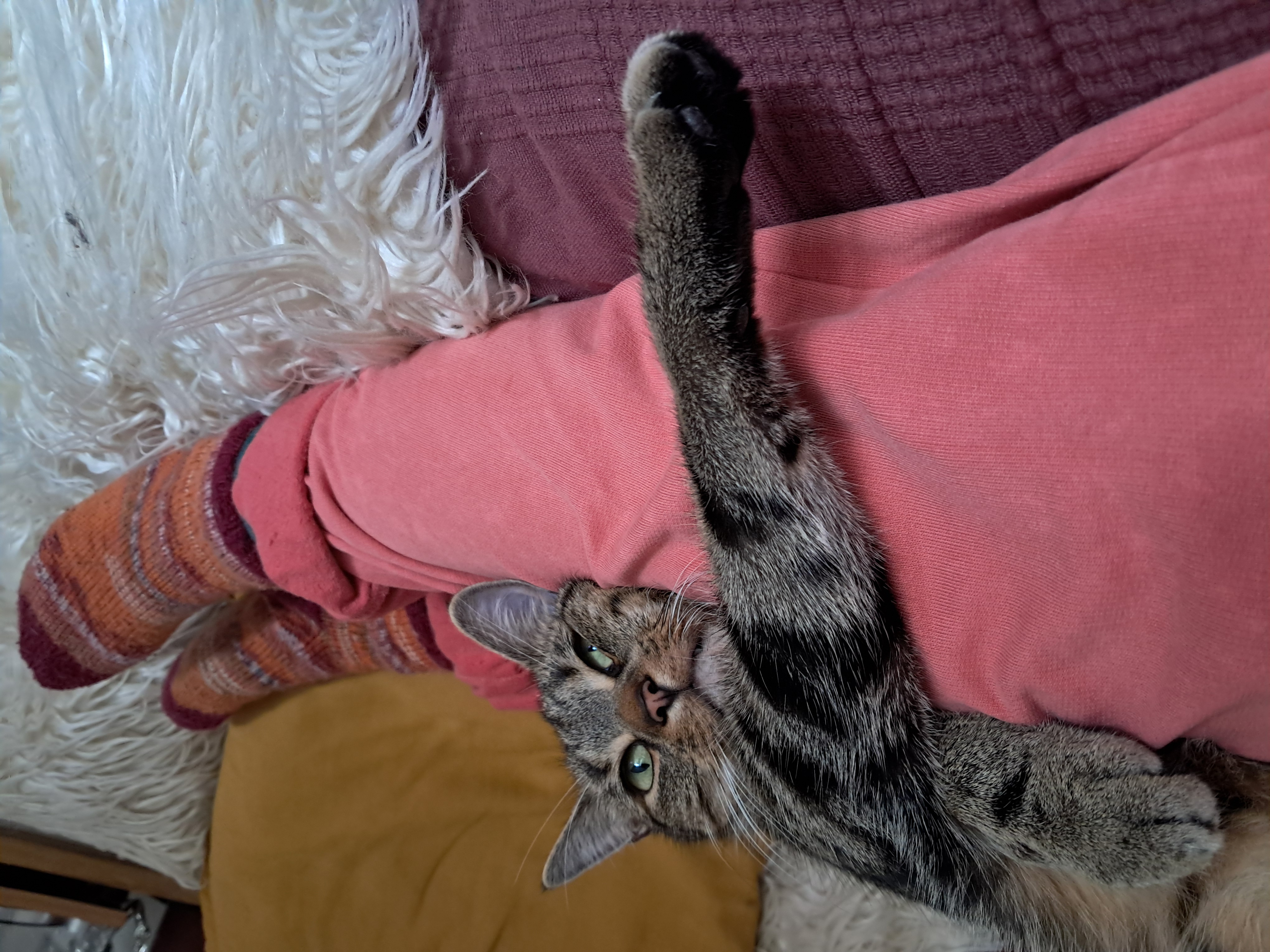 image-8