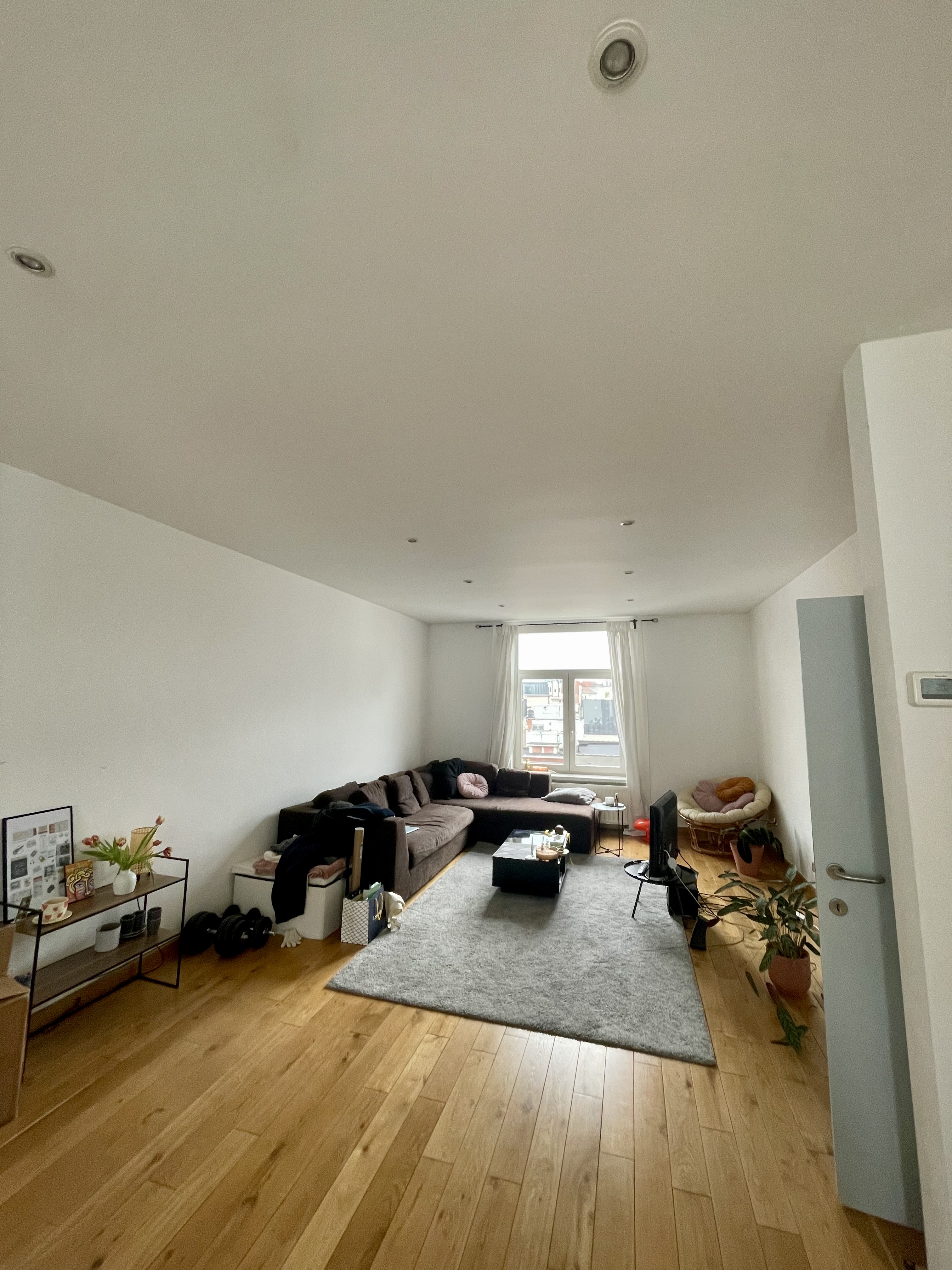 image-19