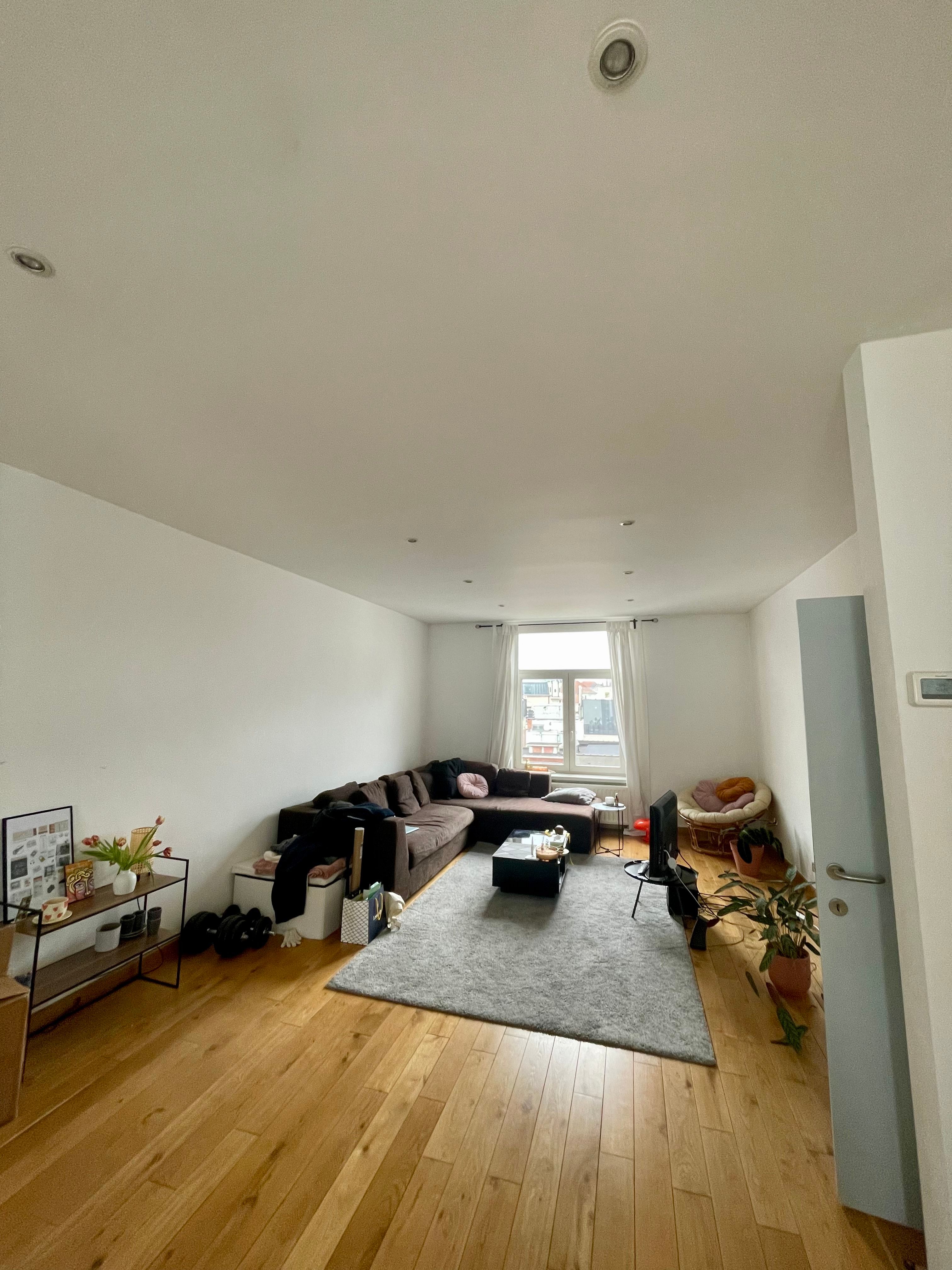 image-19