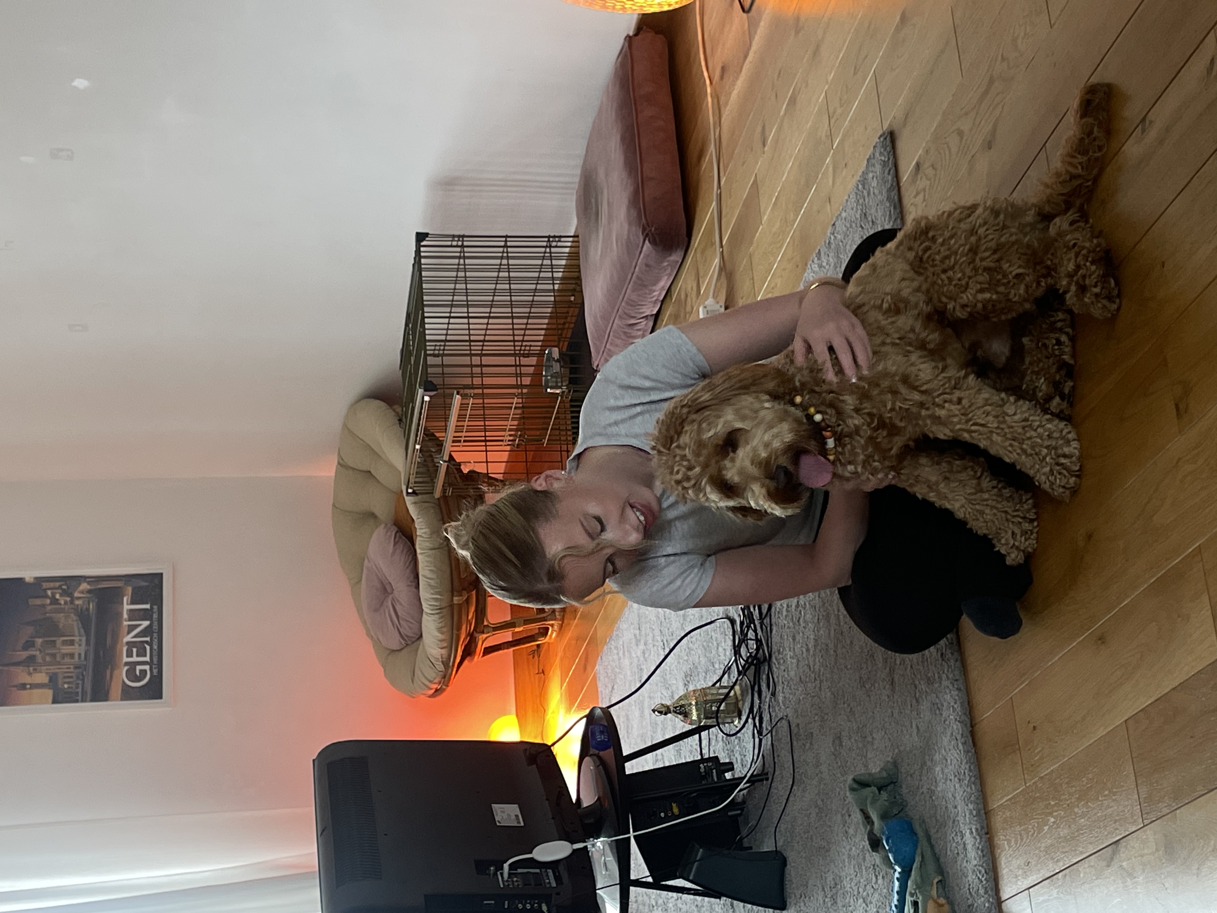 image-8